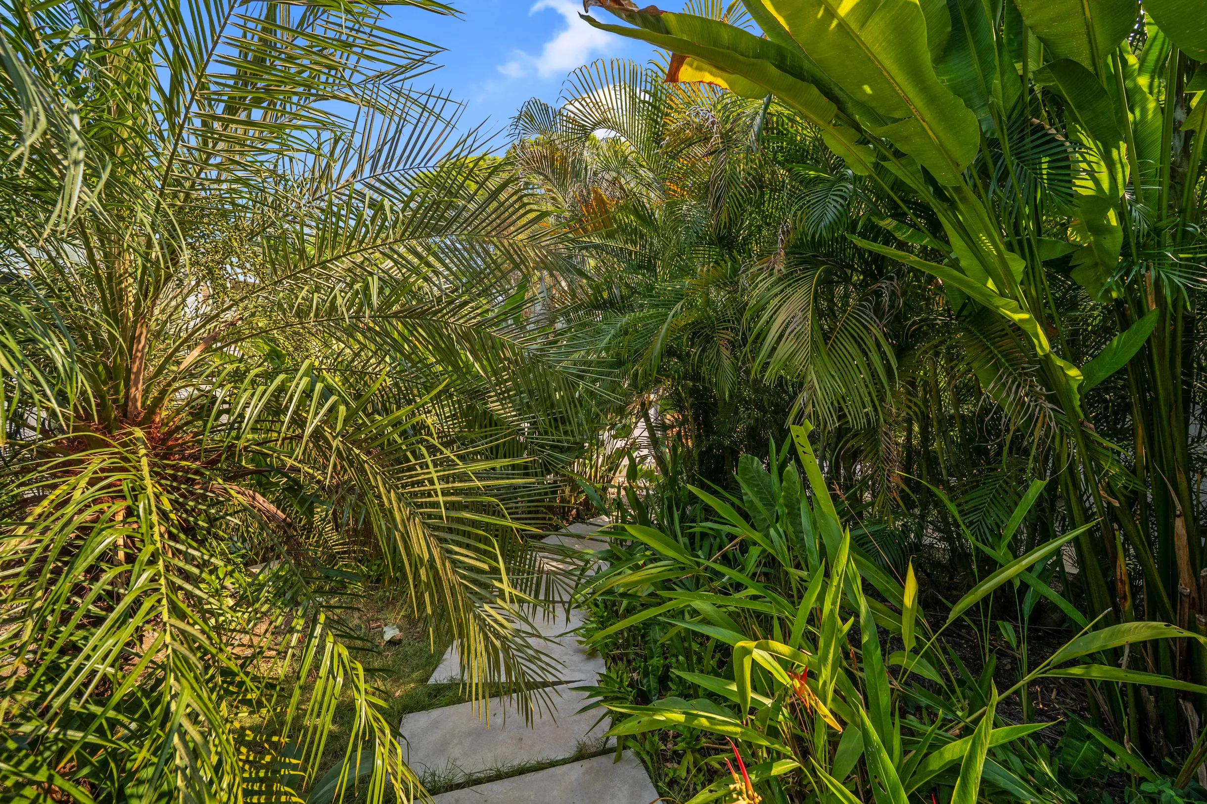 Wander Santa Teresa #21