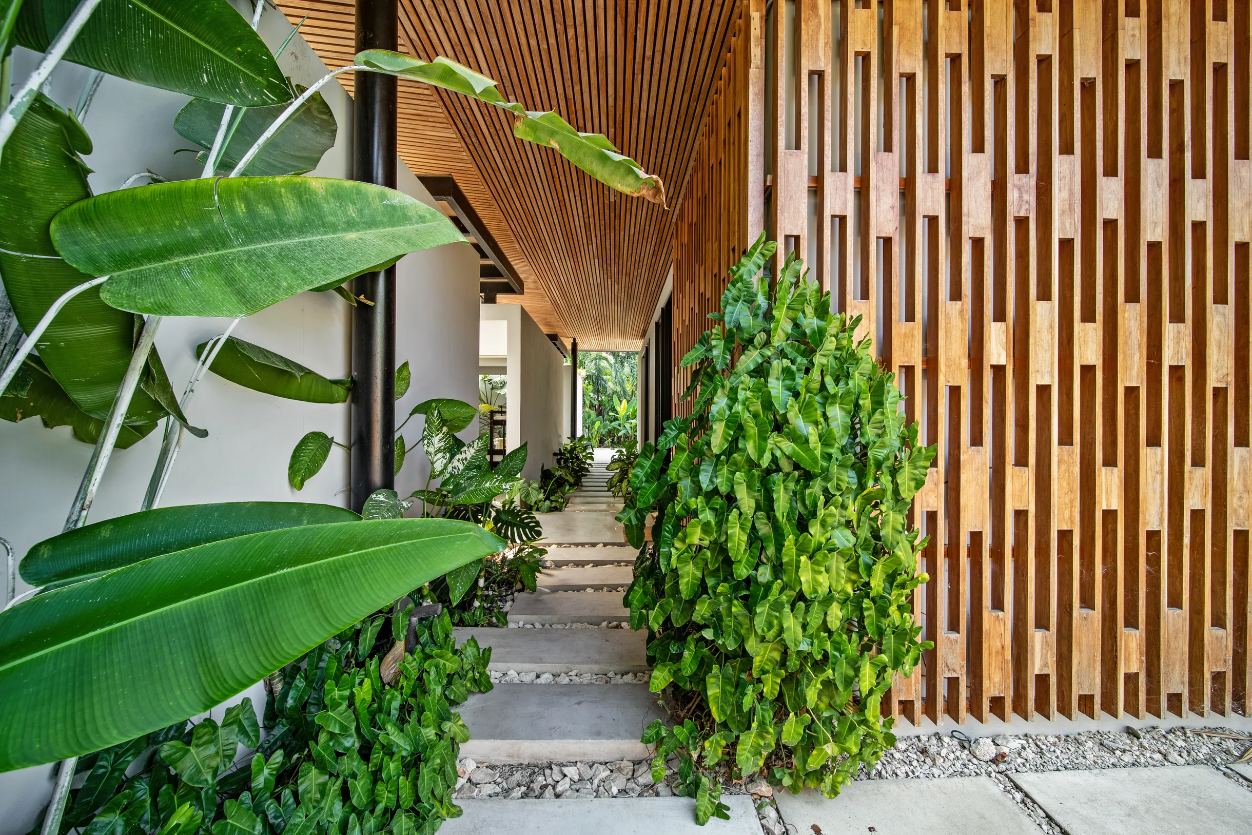 Wander Santa Teresa #132