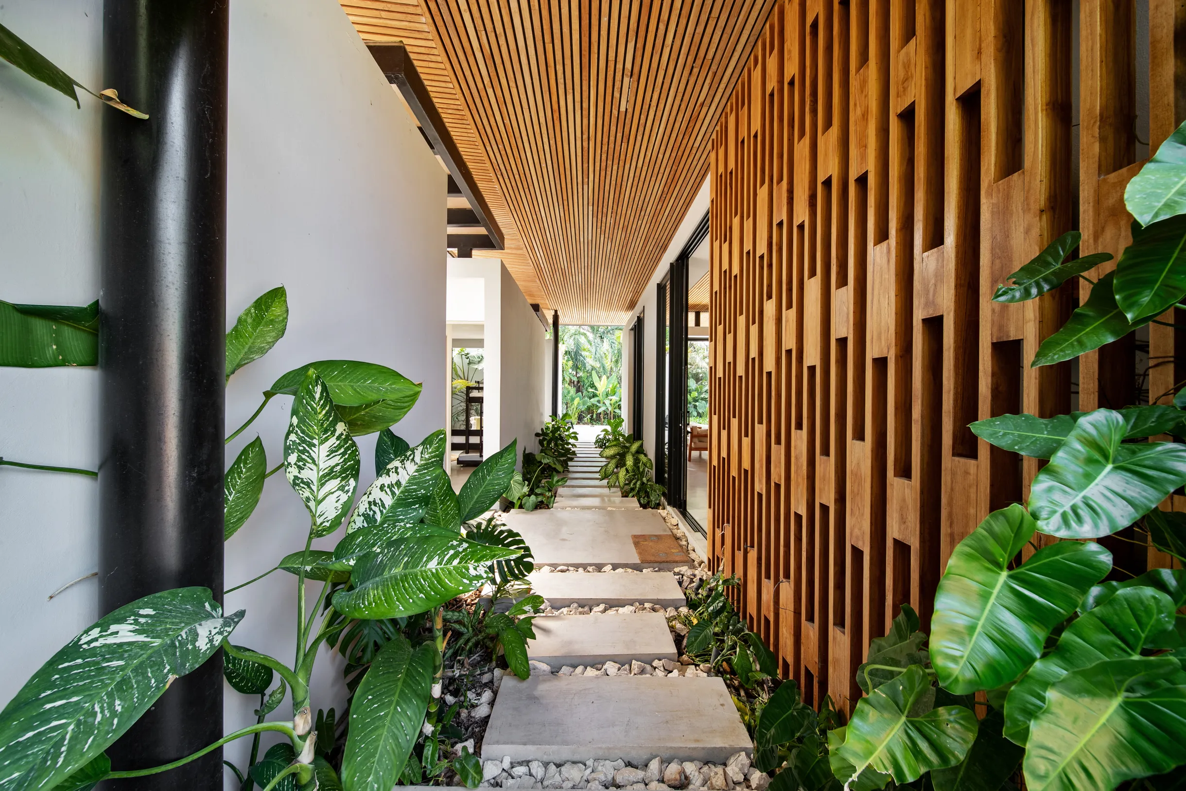 Wander Santa Teresa #116