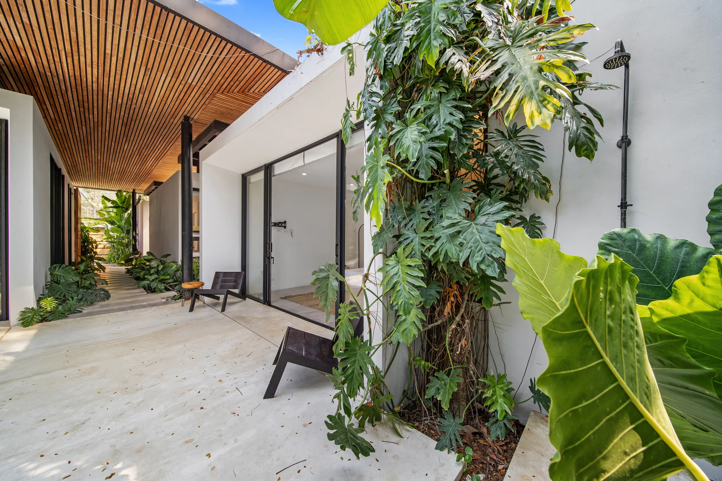 Wander Santa Teresa #24