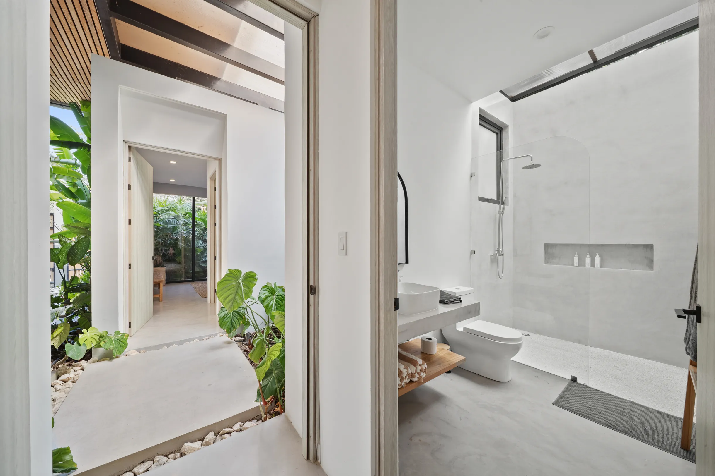 Wander Santa Teresa #26