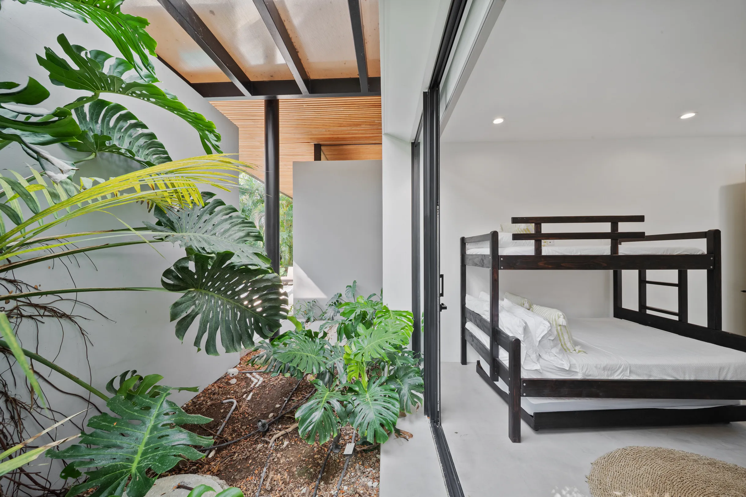 Wander Santa Teresa #120