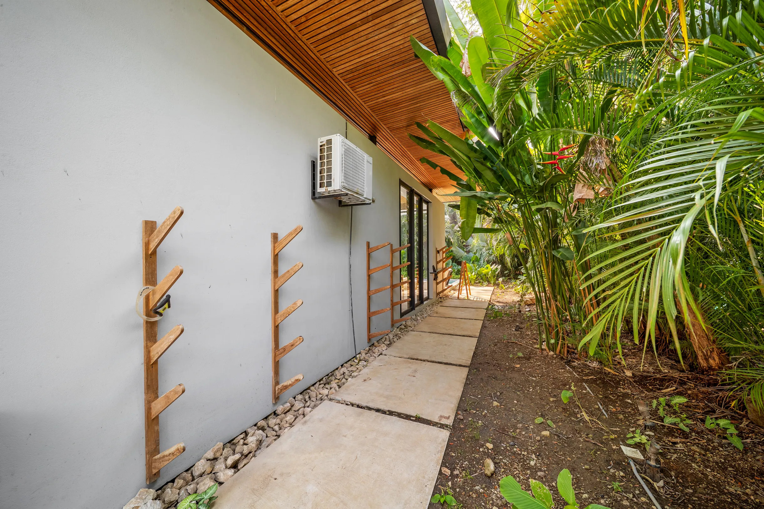 Wander Santa Teresa #55