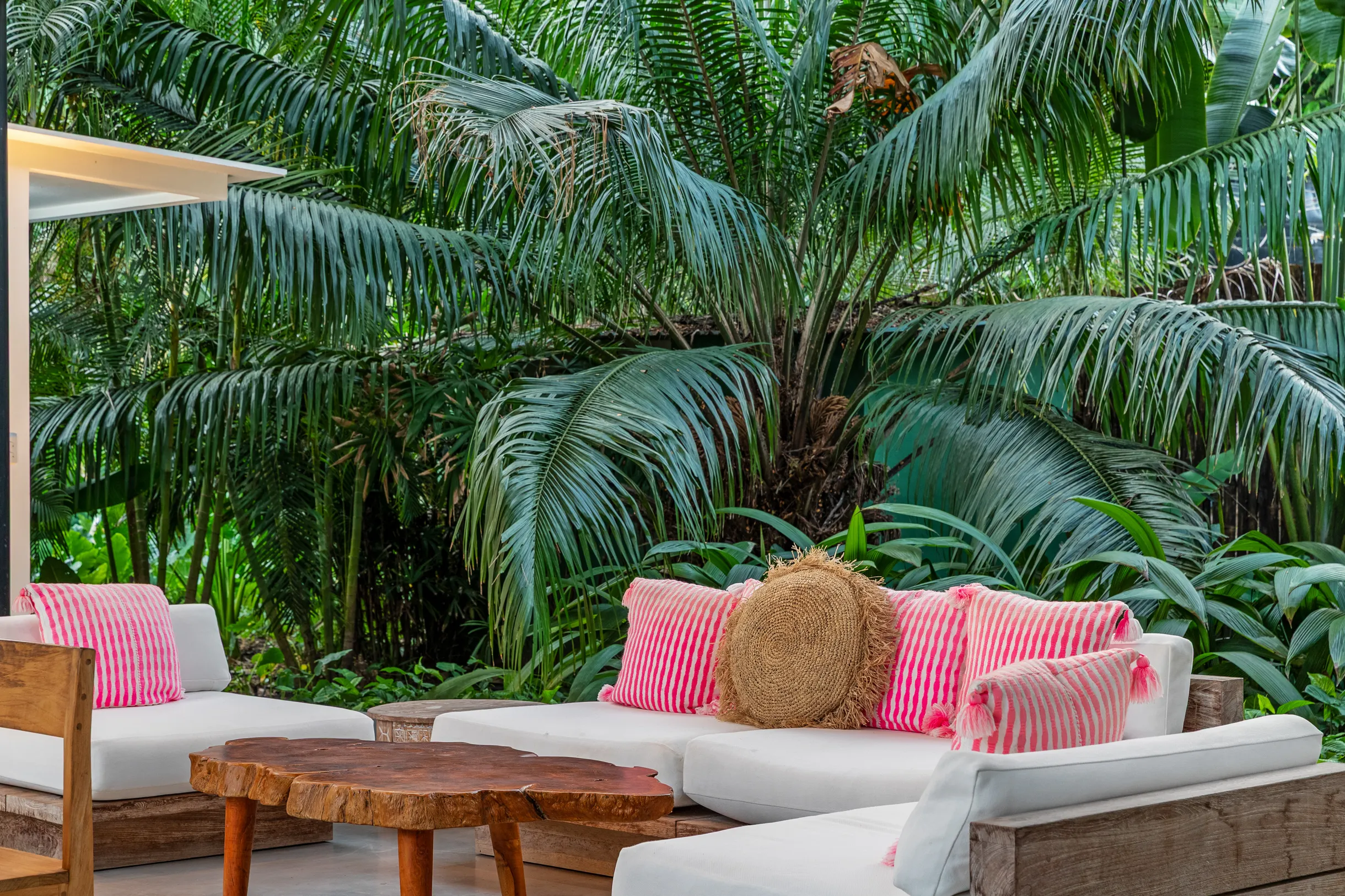 Wander Santa Teresa #177