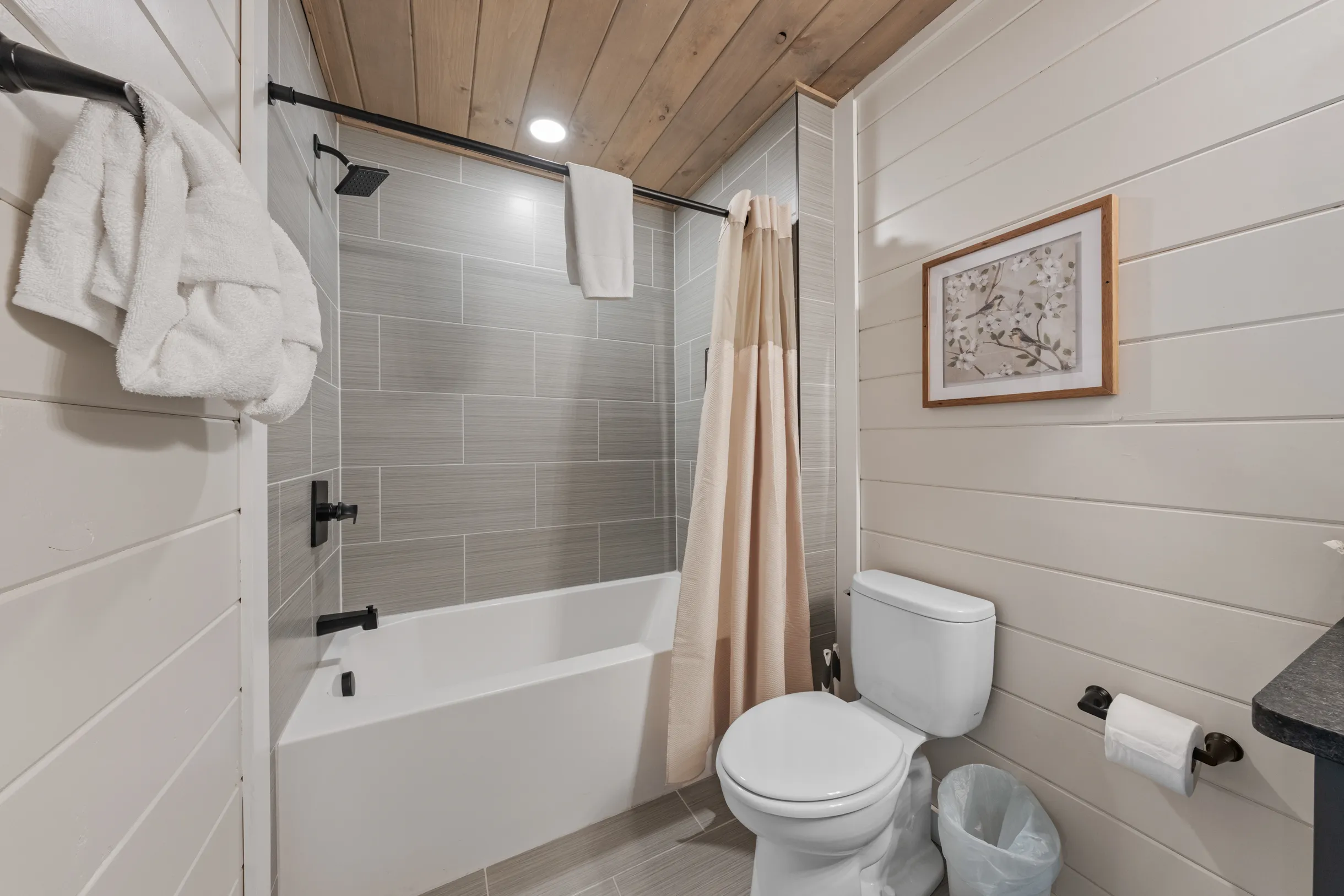 Wander Pigeon Stone #171