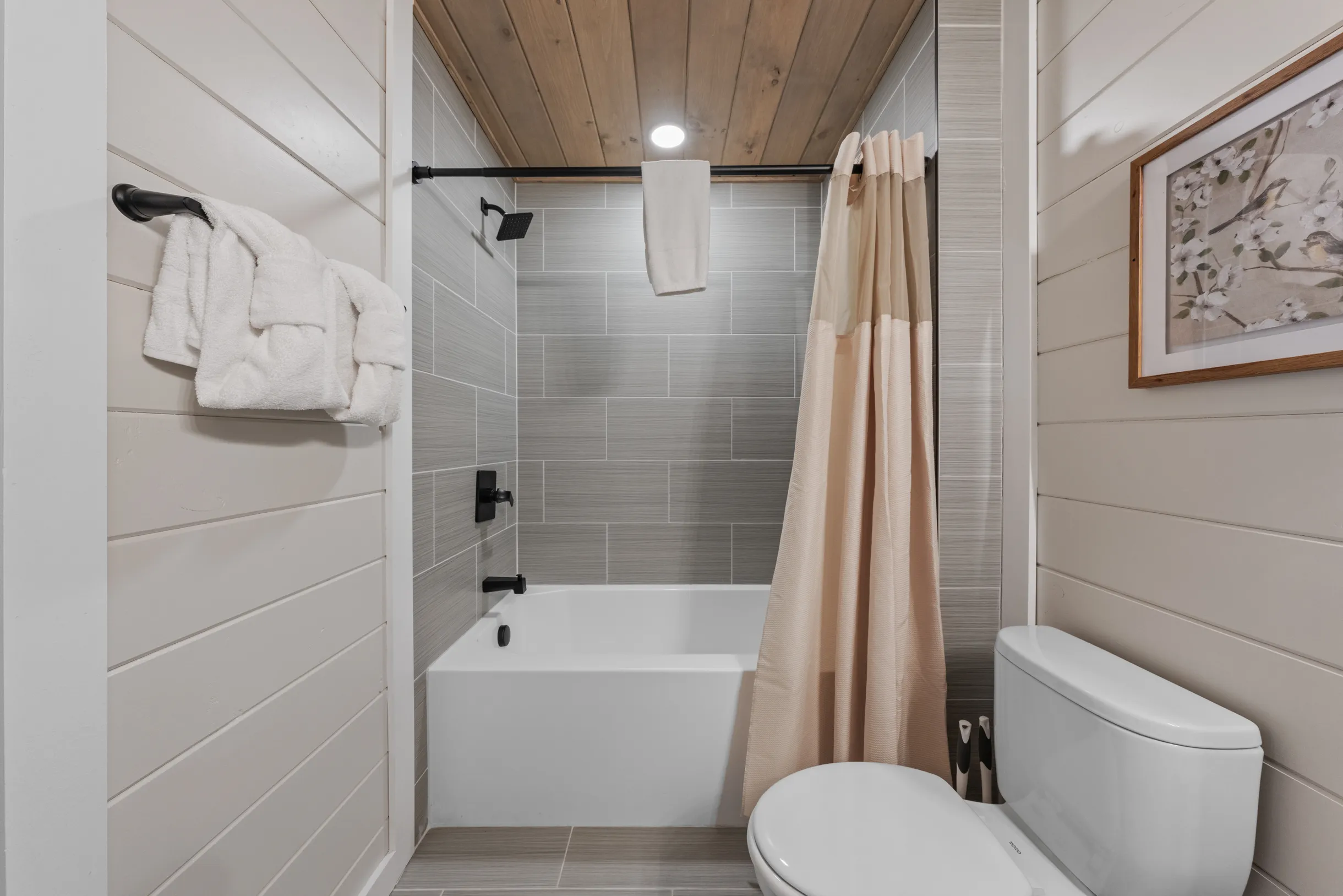 Wander Pigeon Stone #199