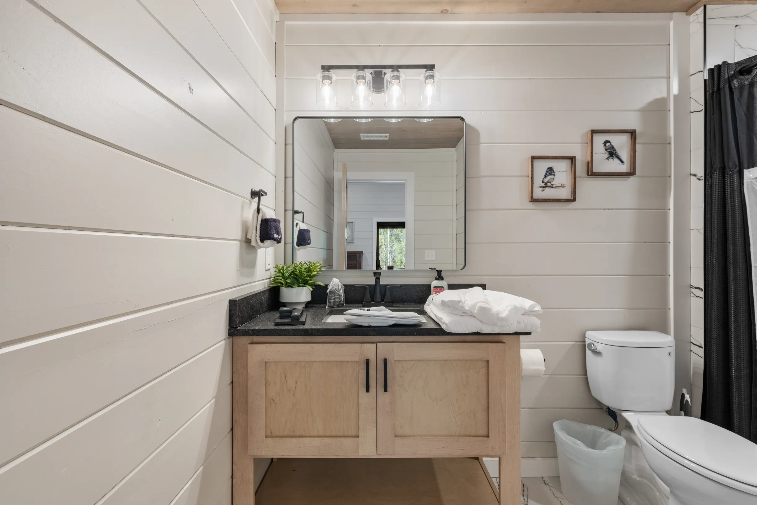 Wander Pigeon Stone #21