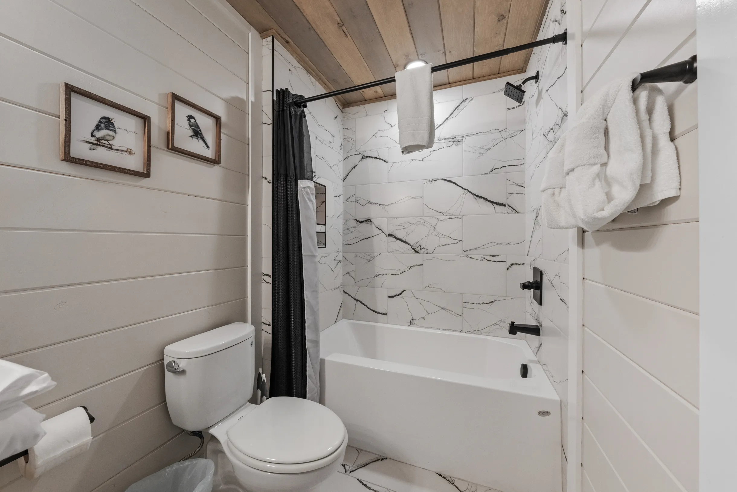 Wander Pigeon Stone #106