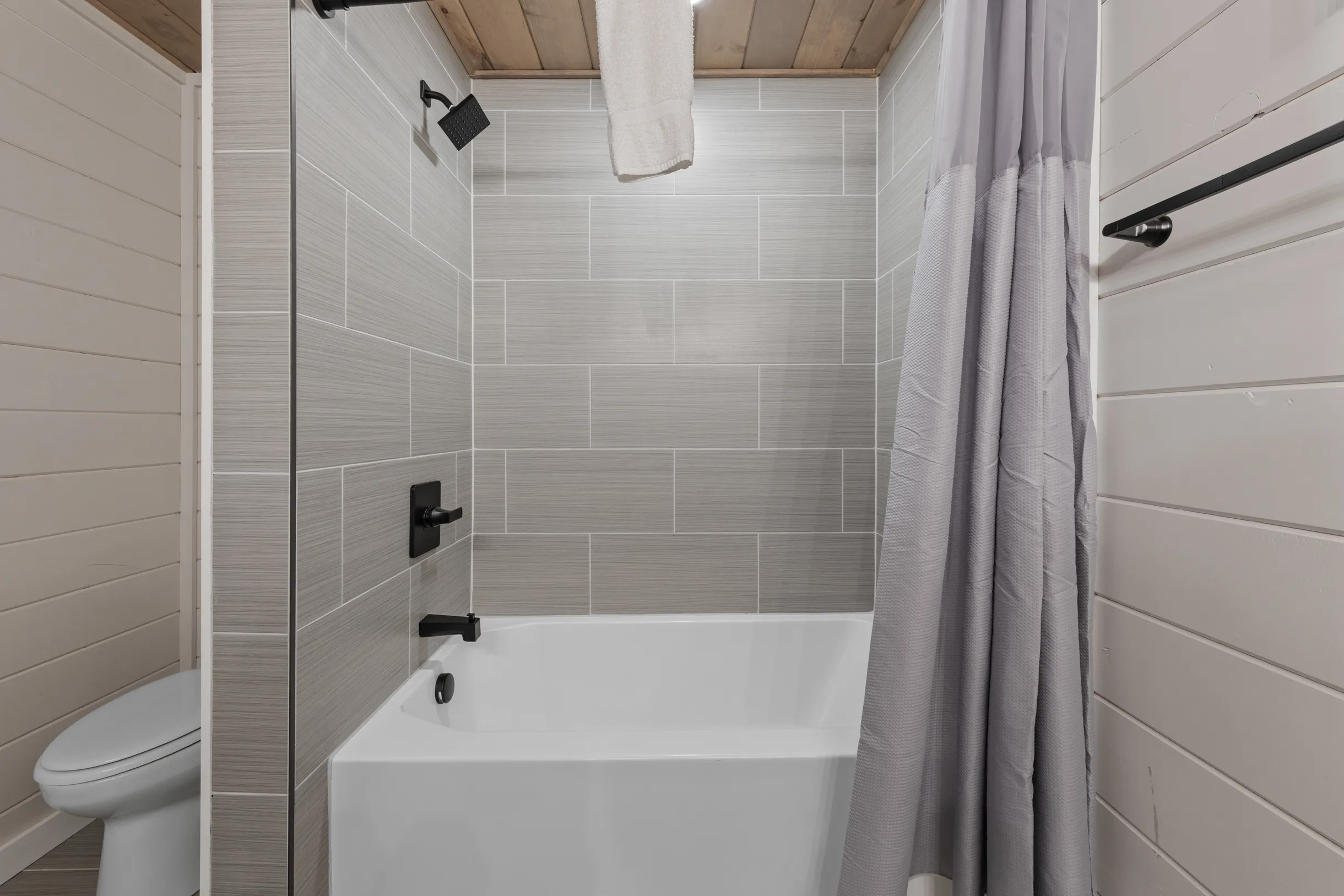 Wander Pigeon Stone #146