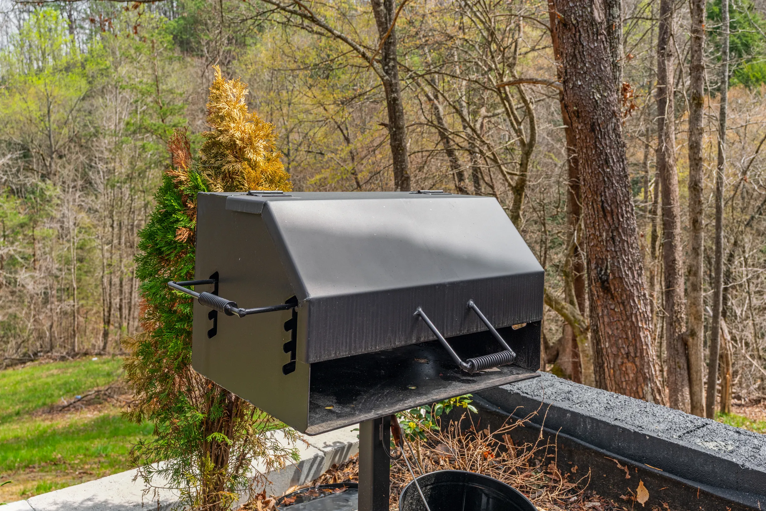 Wander Sevierville Creek #46