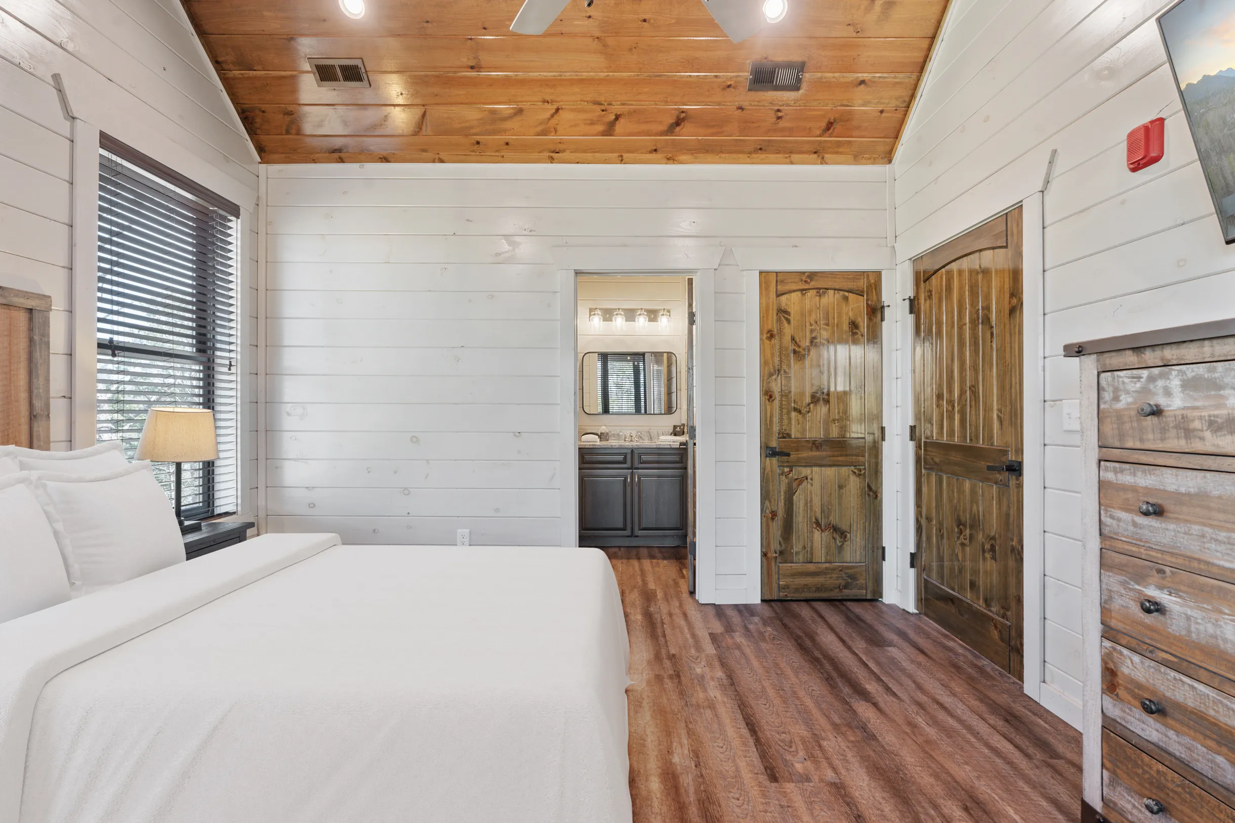 Wander Smoky Woods #41