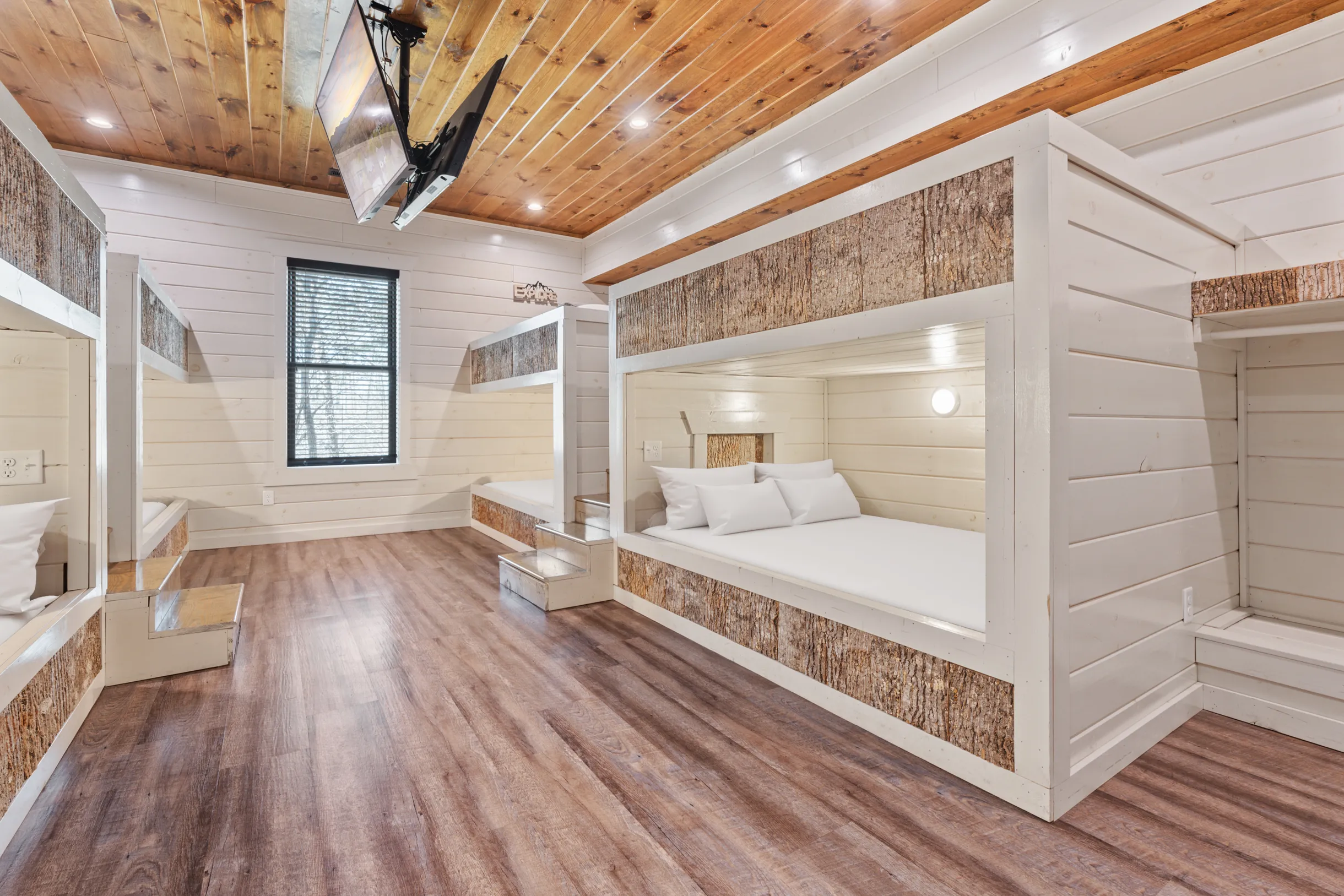 Wander Smoky Woods #23