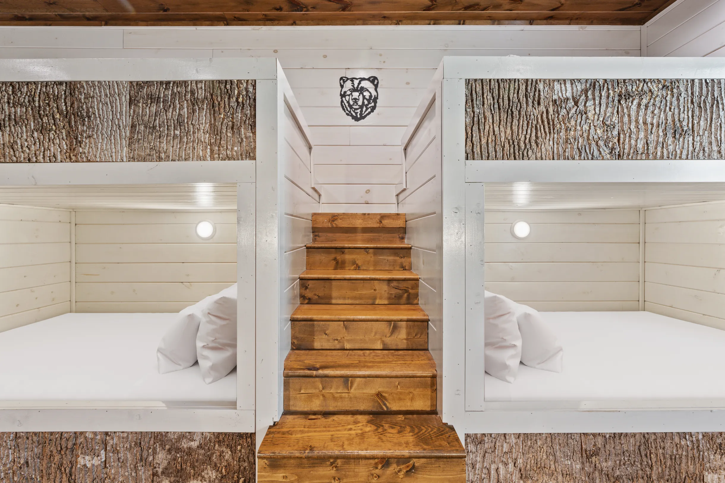 Wander Smoky Woods #43