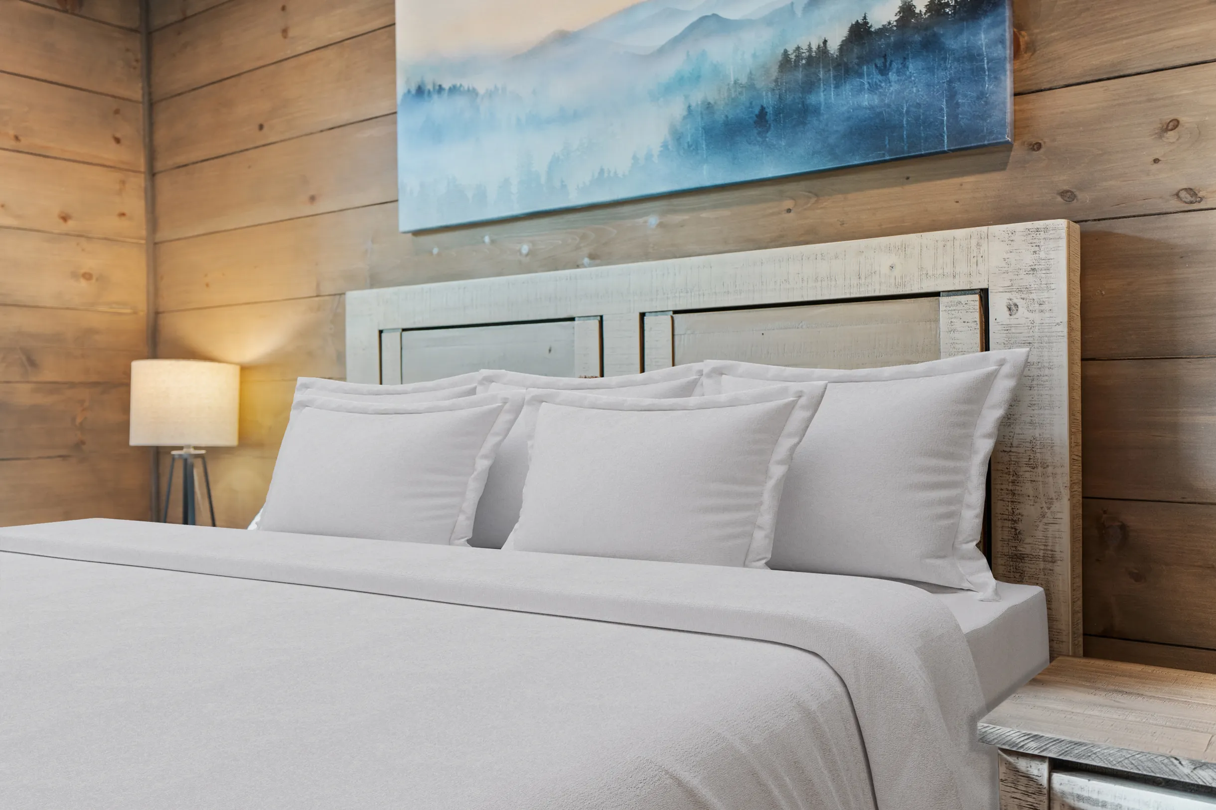 Wander Sevierville Ridge #55