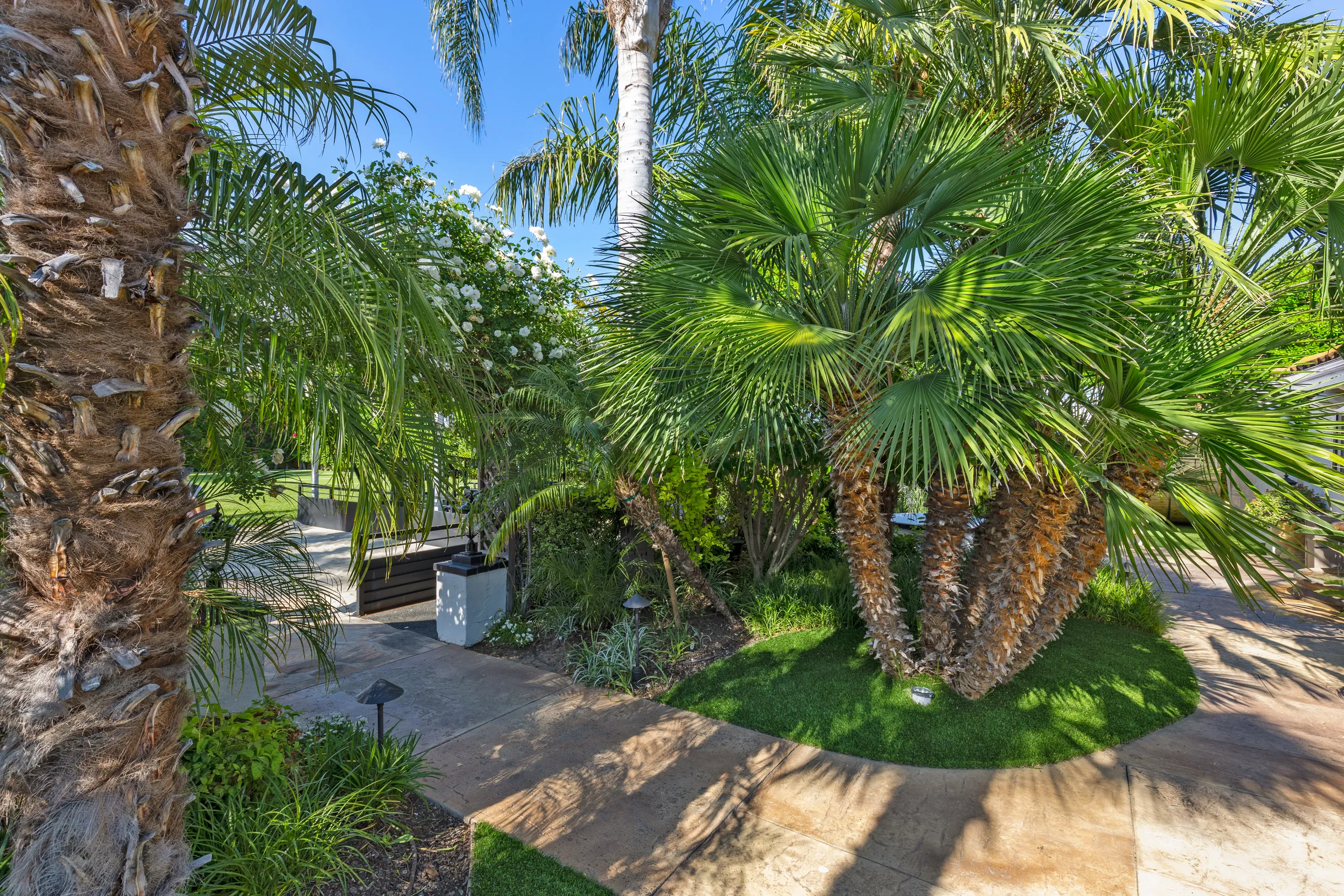 Wander Los Angeles Breeze #49