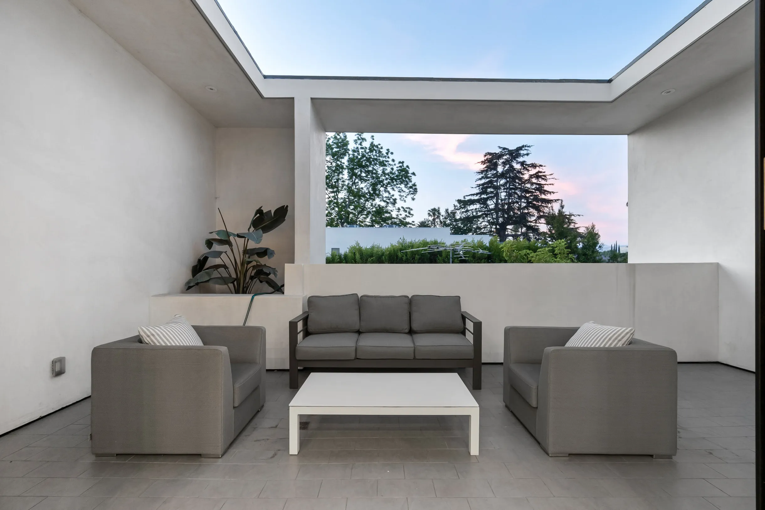 Wander Hollywood Oasis #9