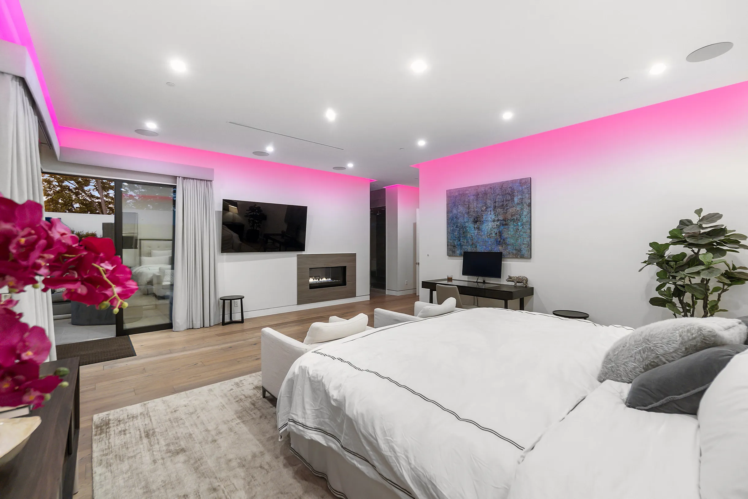 Wander Hollywood Oasis #19