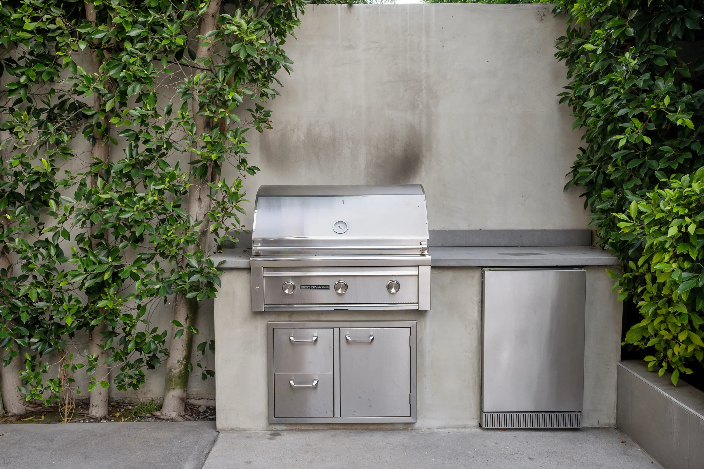 Wander Hollywood Oasis #30