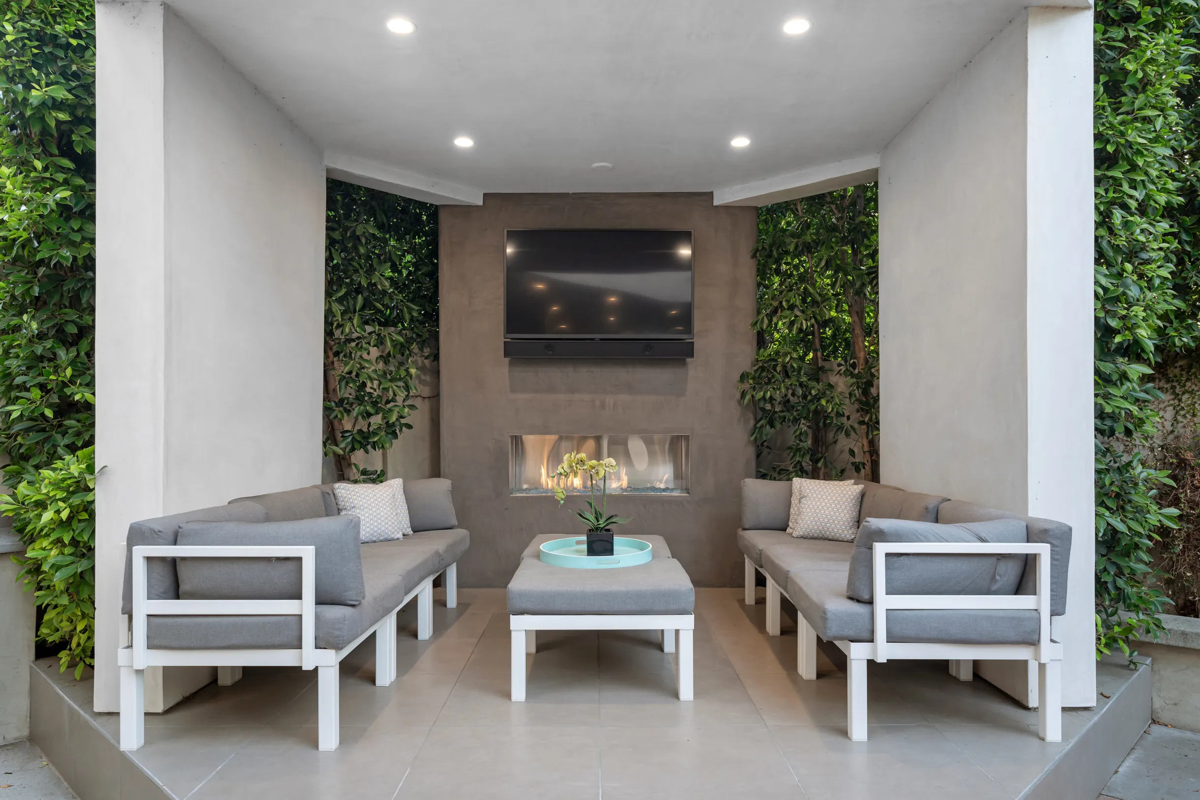 Wander Hollywood Oasis #22