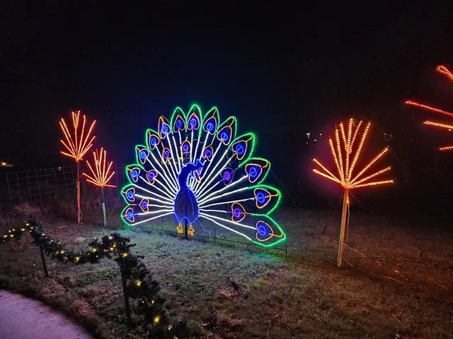 Marble Falls Walkway of Lights