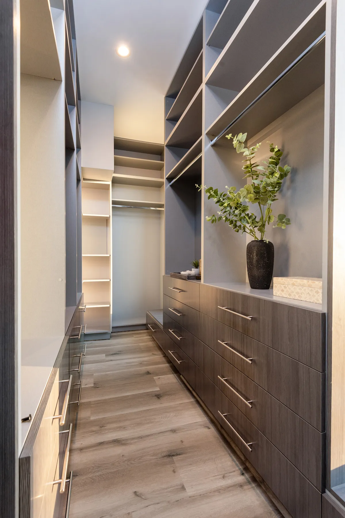 Wander Tarzana Hills #38