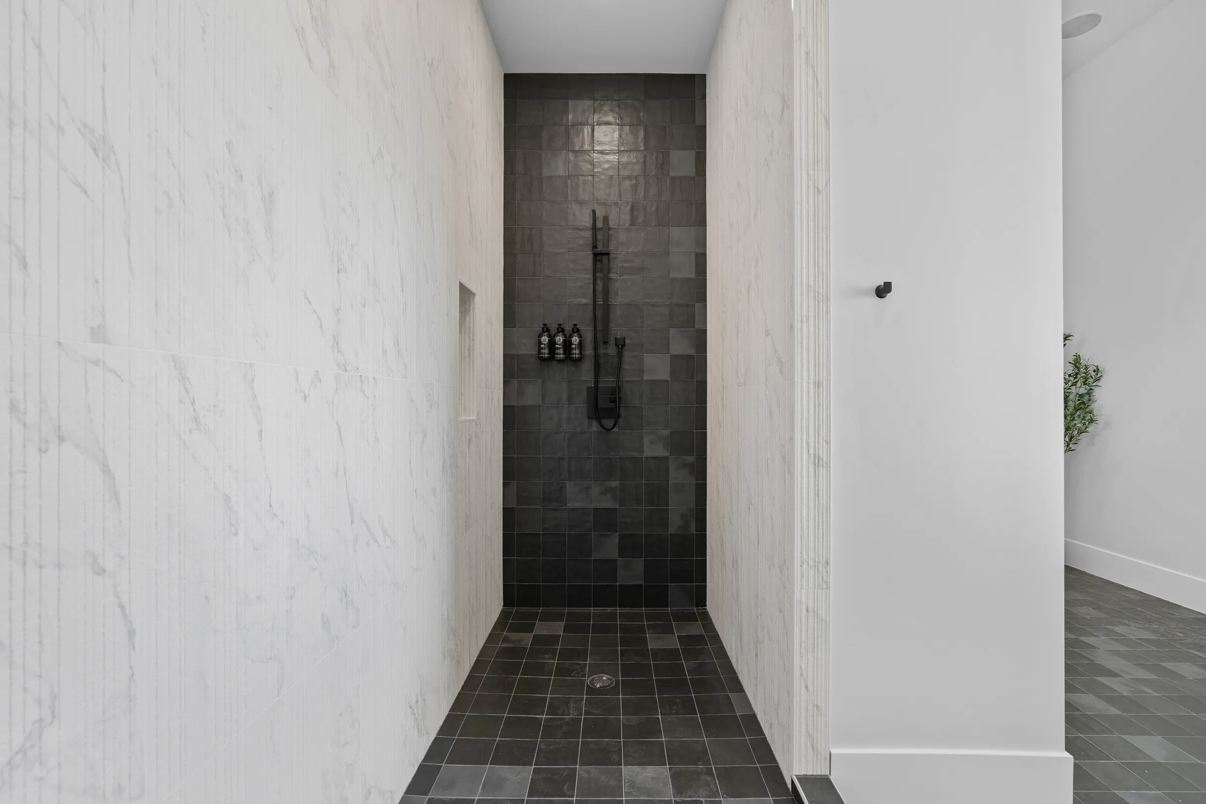 Wander Zion Mountain #127