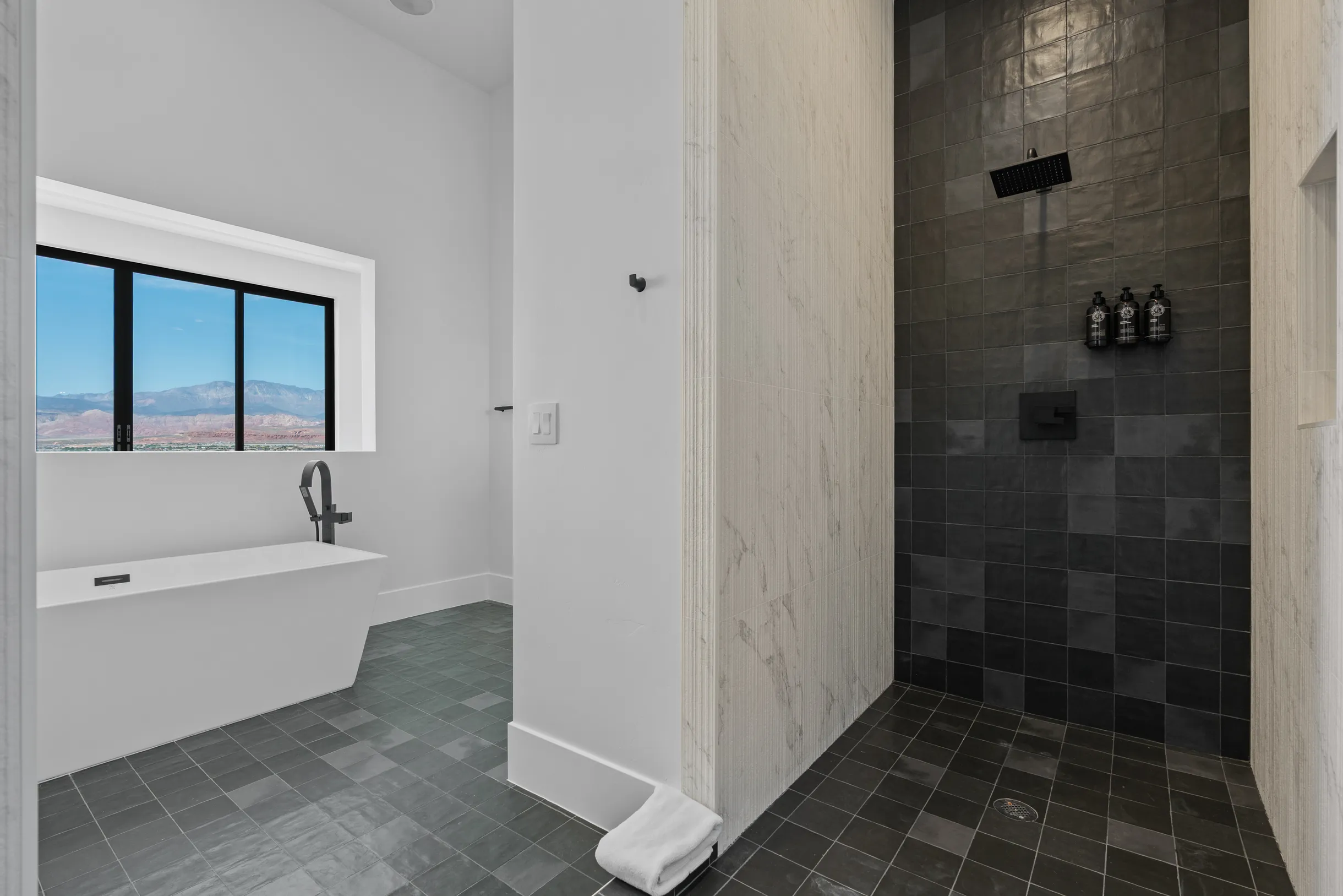 Wander Zion Mountain #96