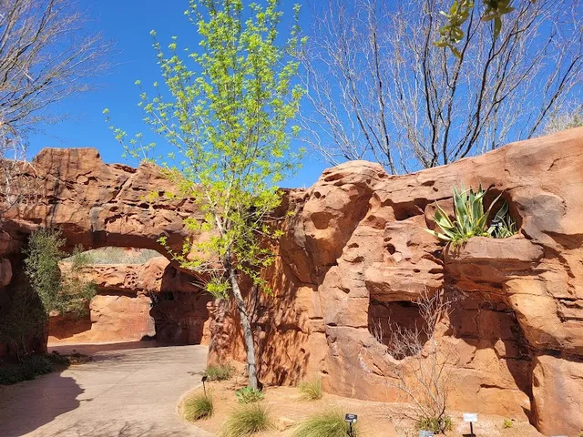 Red Hills Desert Garden