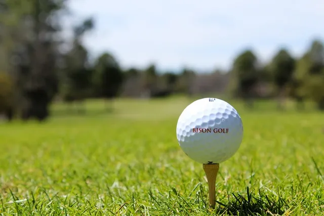 Bison Golf Club