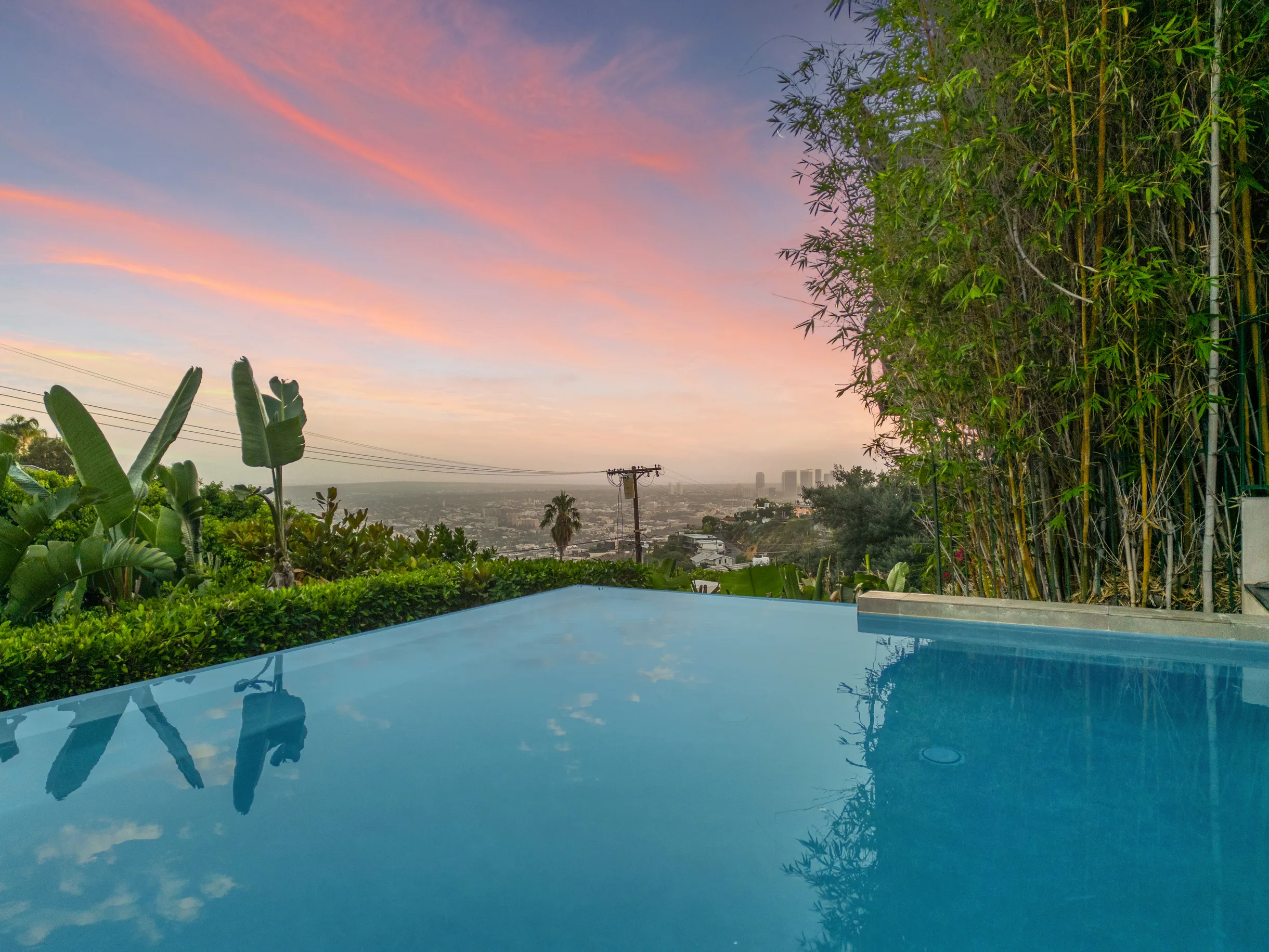 Wander Hollywood Hills Horizon #32