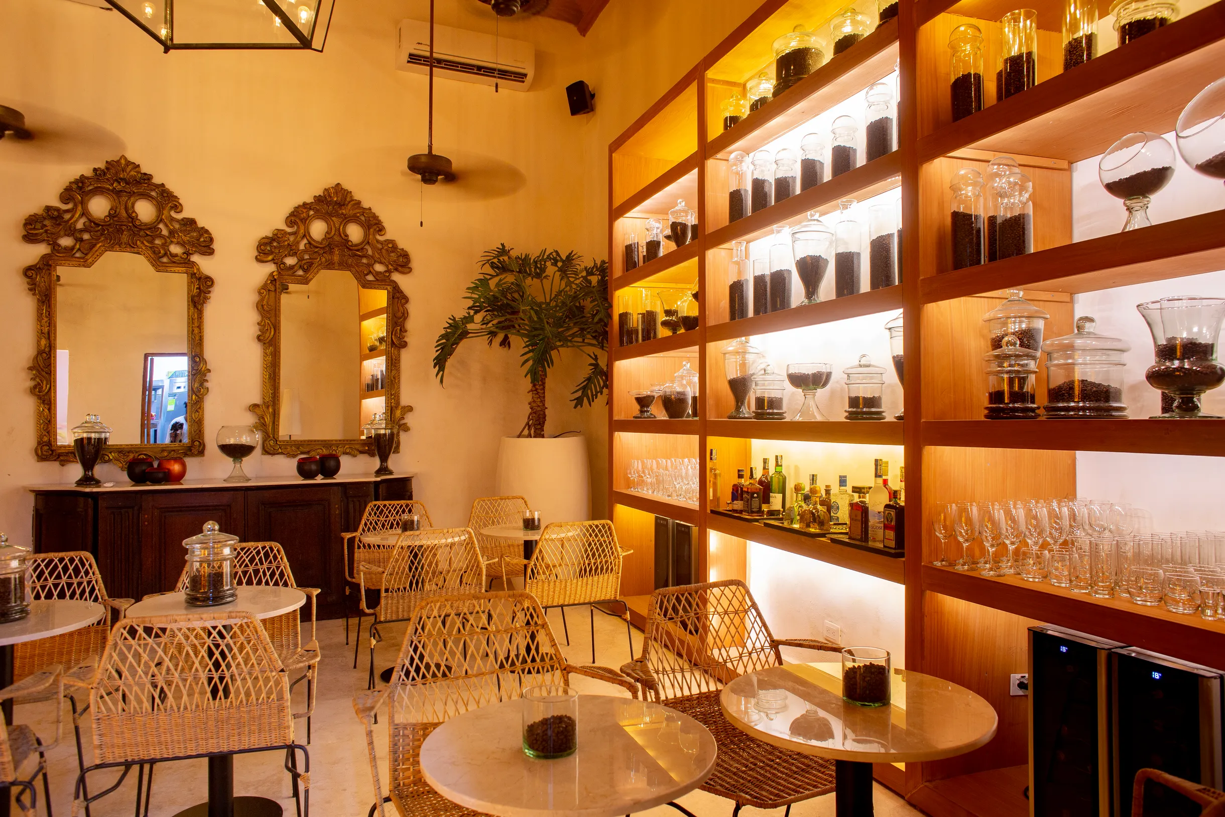 Wander Cartagena Sunrise #23