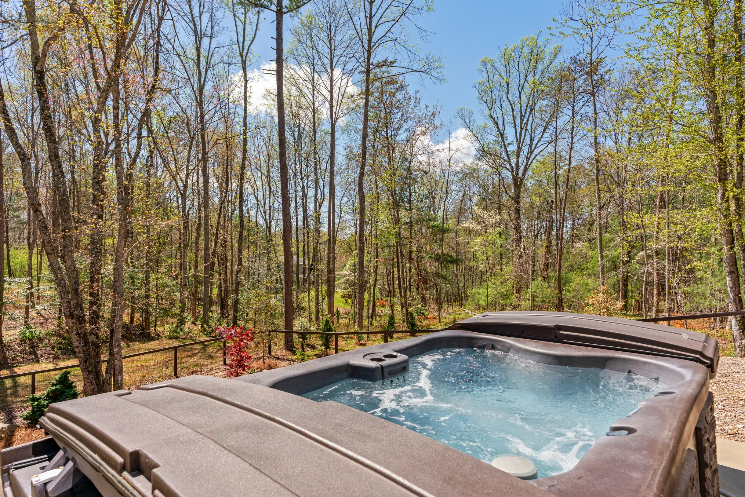 Wander Fairview Springs #62