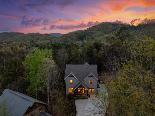 Wander Pigeon Ridge #4