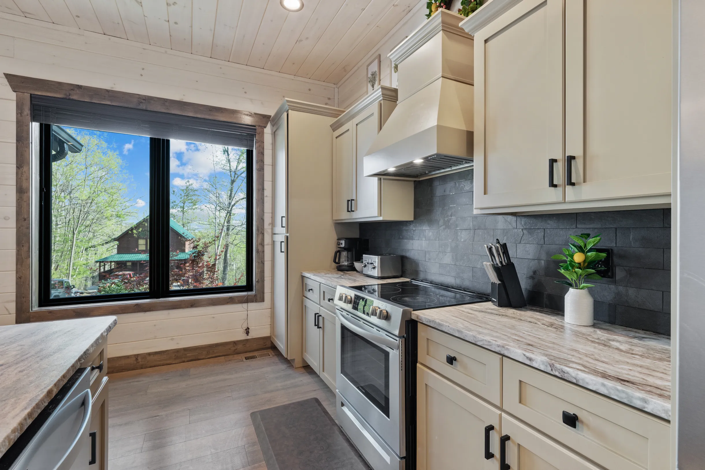 Wander Pigeon Ridge #37