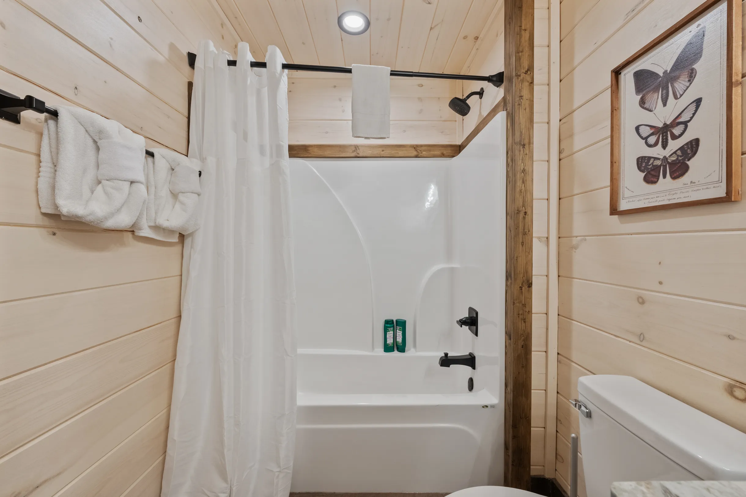 Wander Pigeon Ridge #66