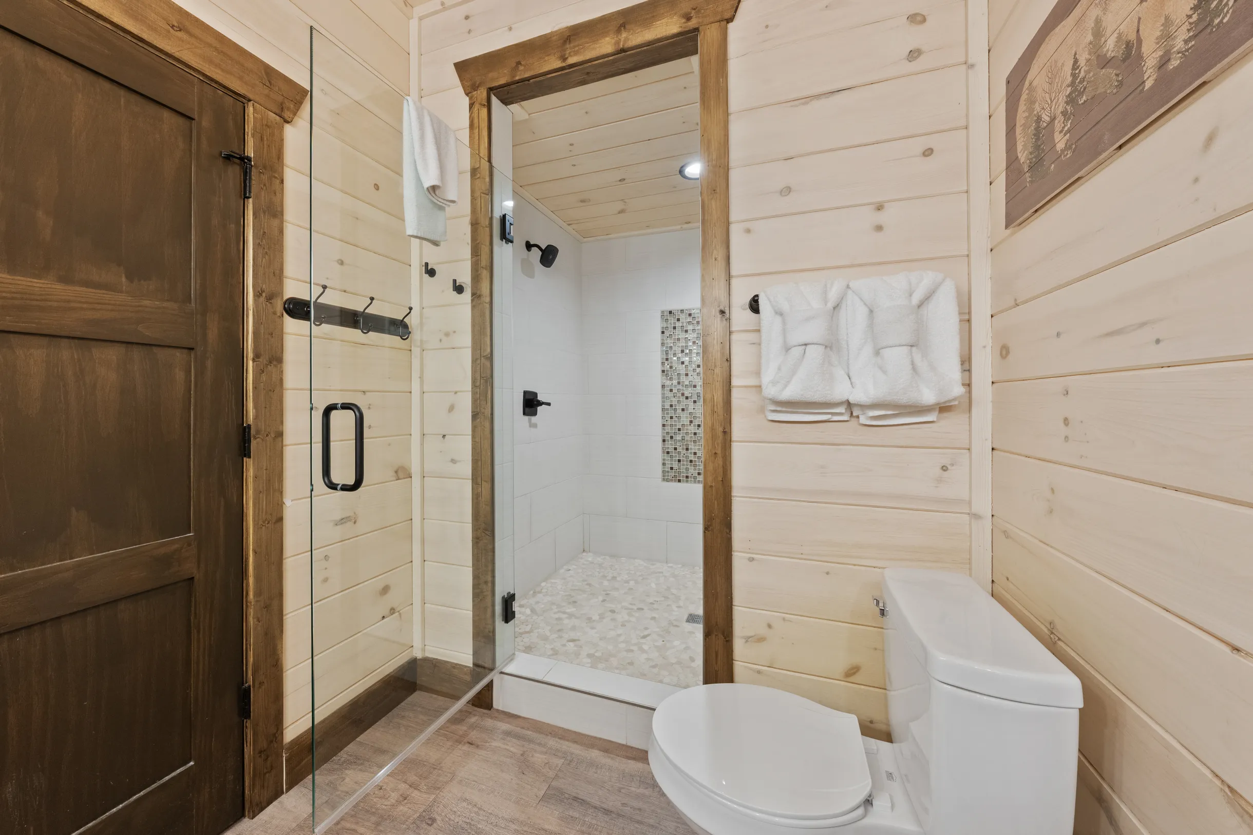 Wander Pigeon Ridge #48