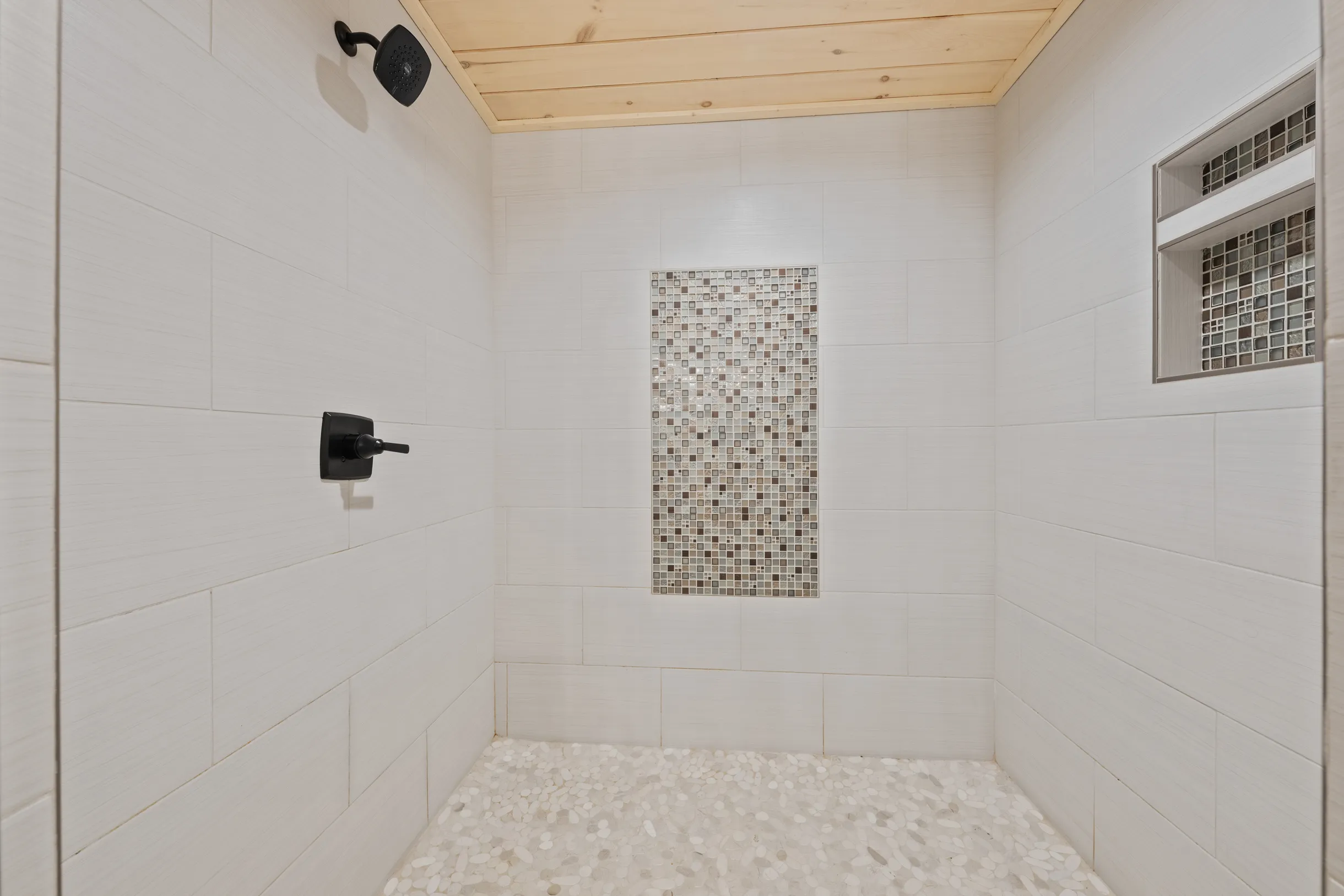 Wander Pigeon Ridge #69