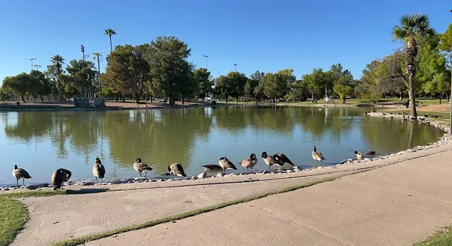 Roadrunner Park