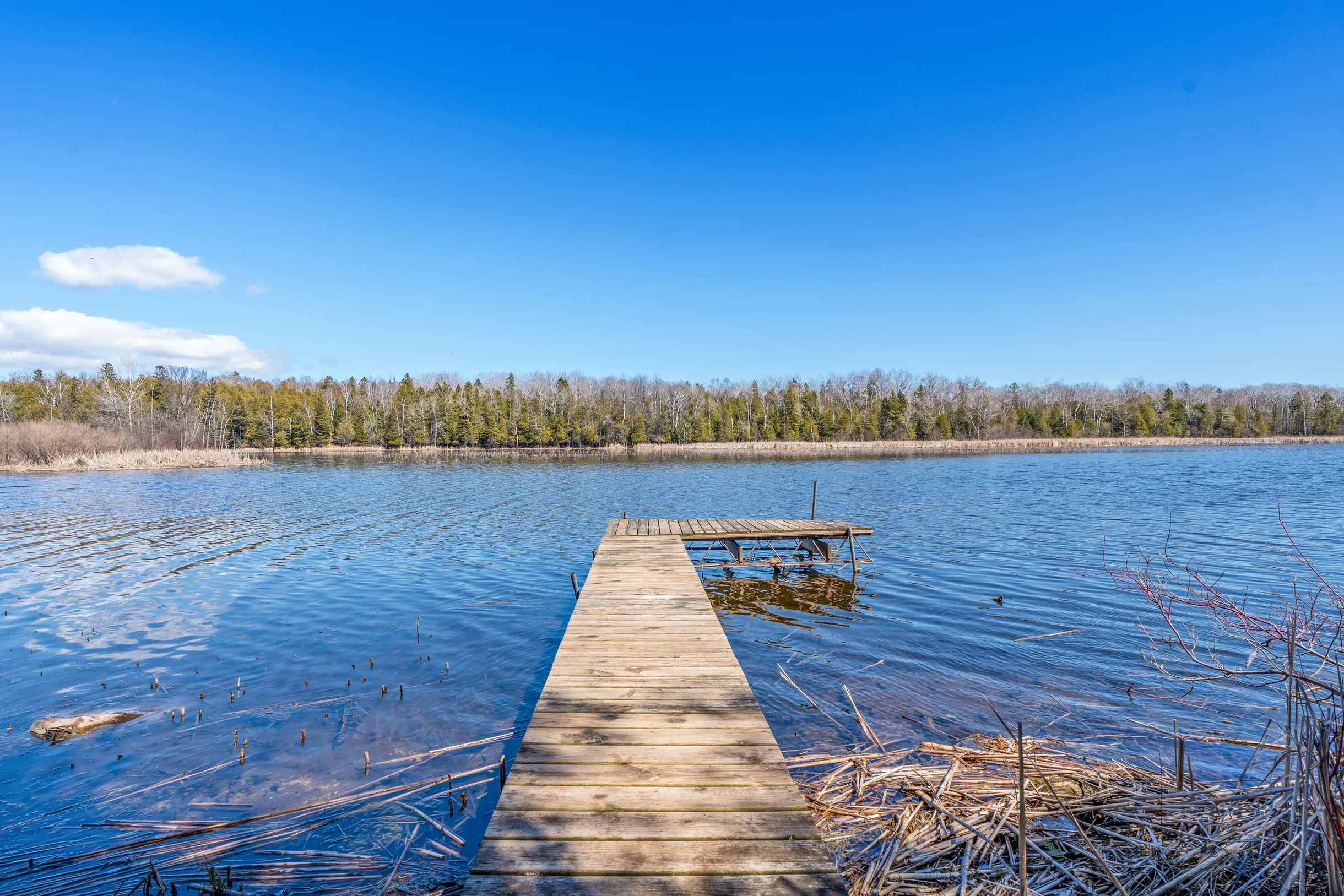 Wander Forestville Pines #7