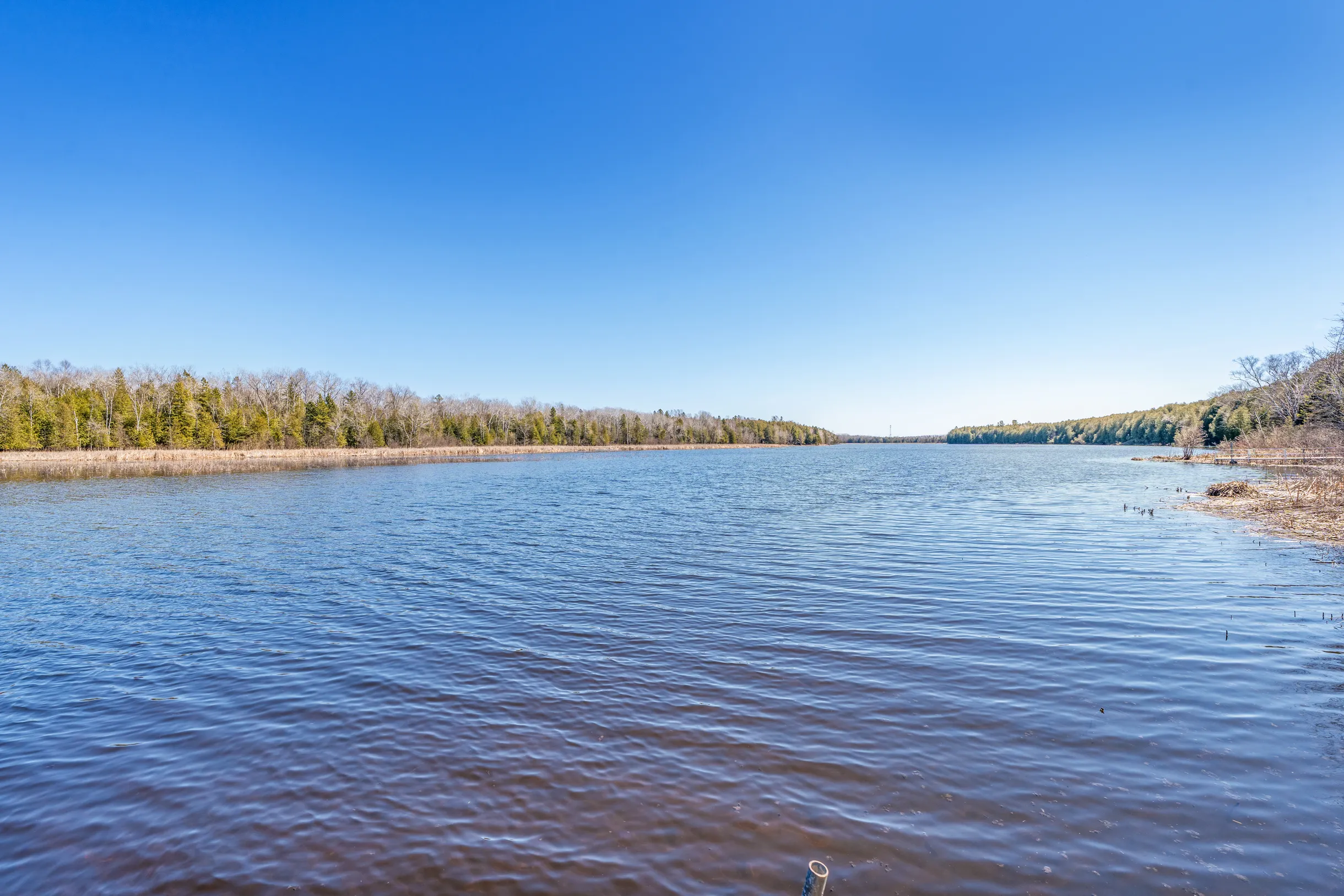 Wander Forestville Pines #23