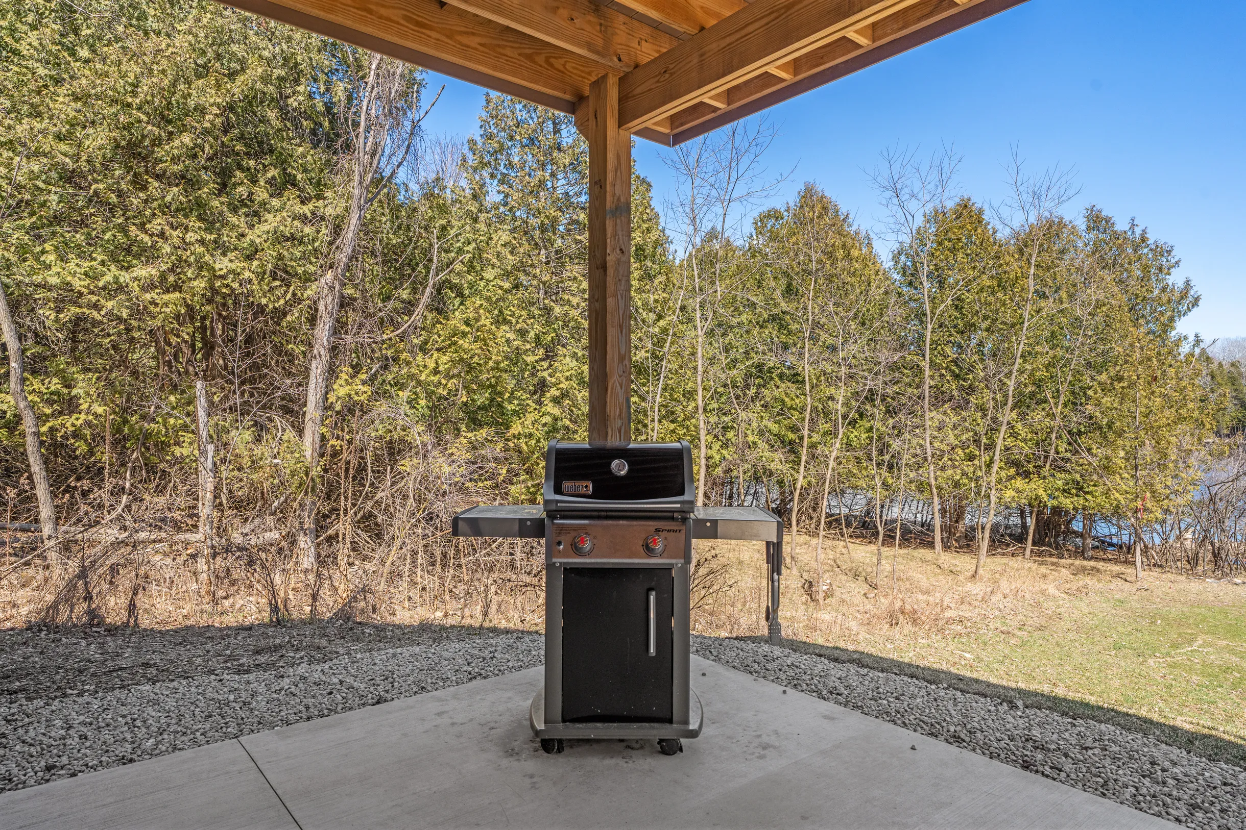 Wander Forestville Pines #67