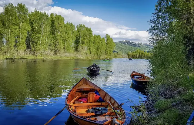 Scenic Boat Trips