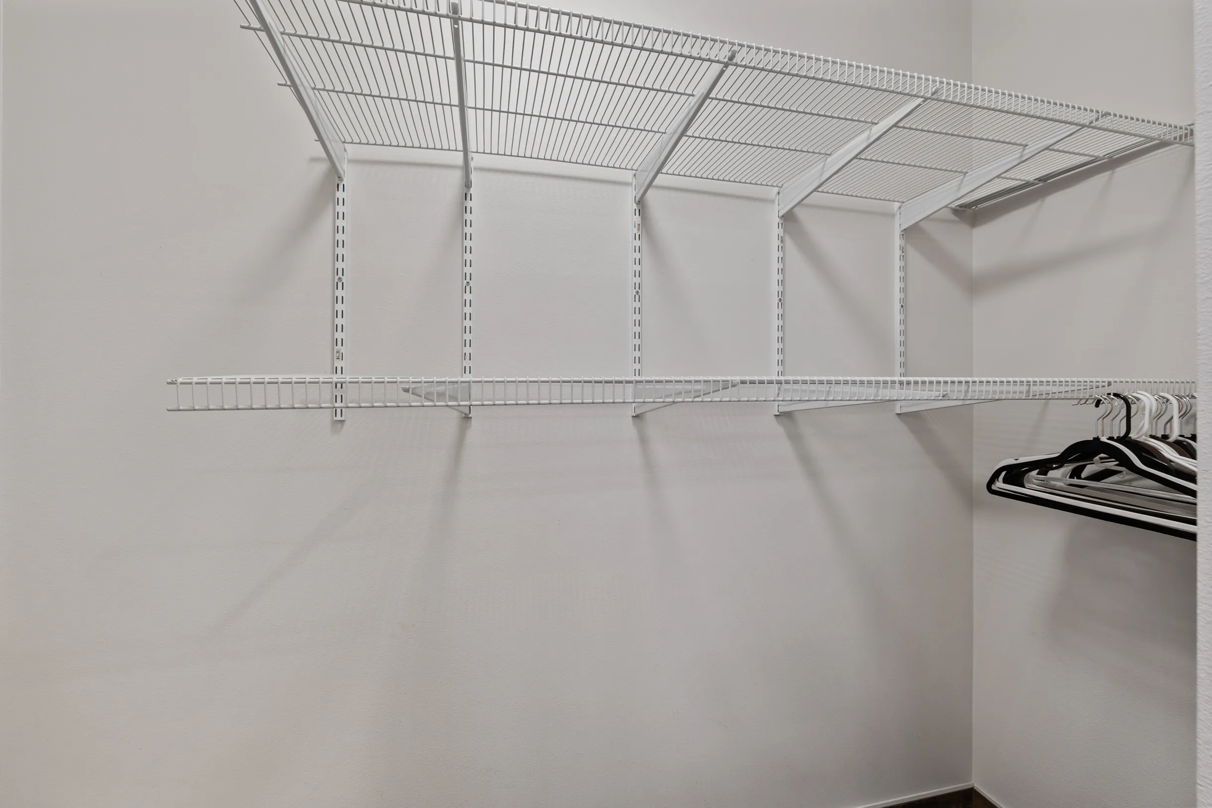 Wander Snoqualmie Pass #91