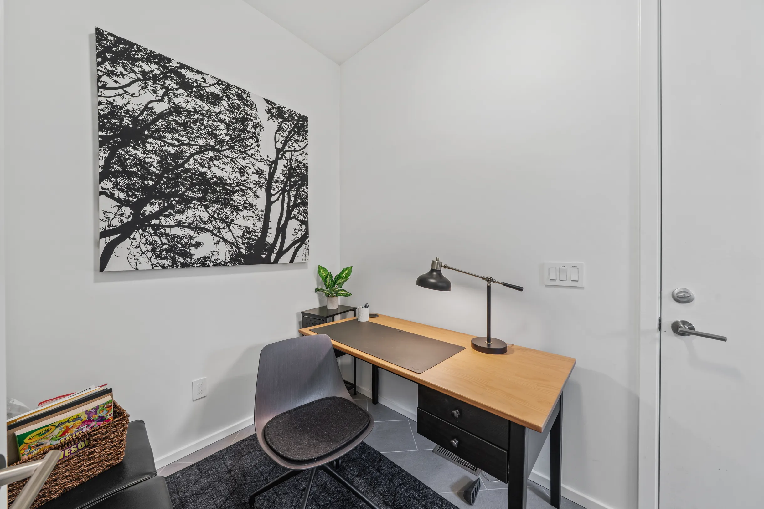 Wander Alexander Springs #8