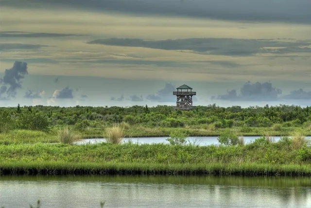 Robinson Preserve