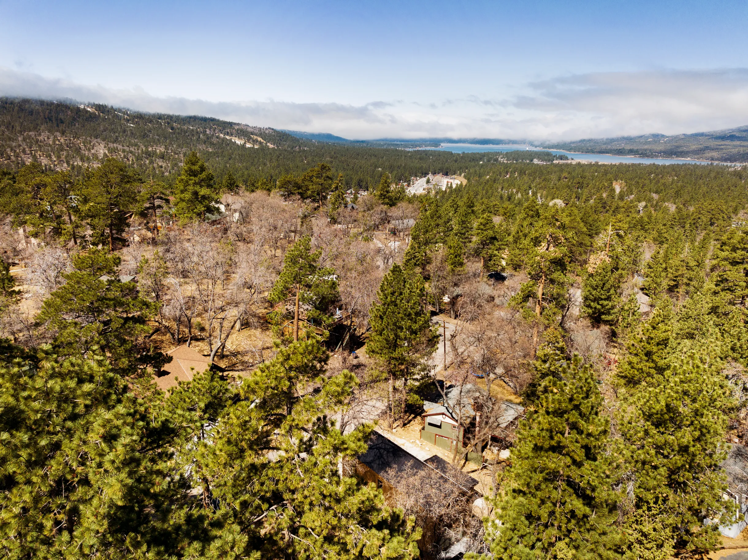 Wander Big Bear Lake #60