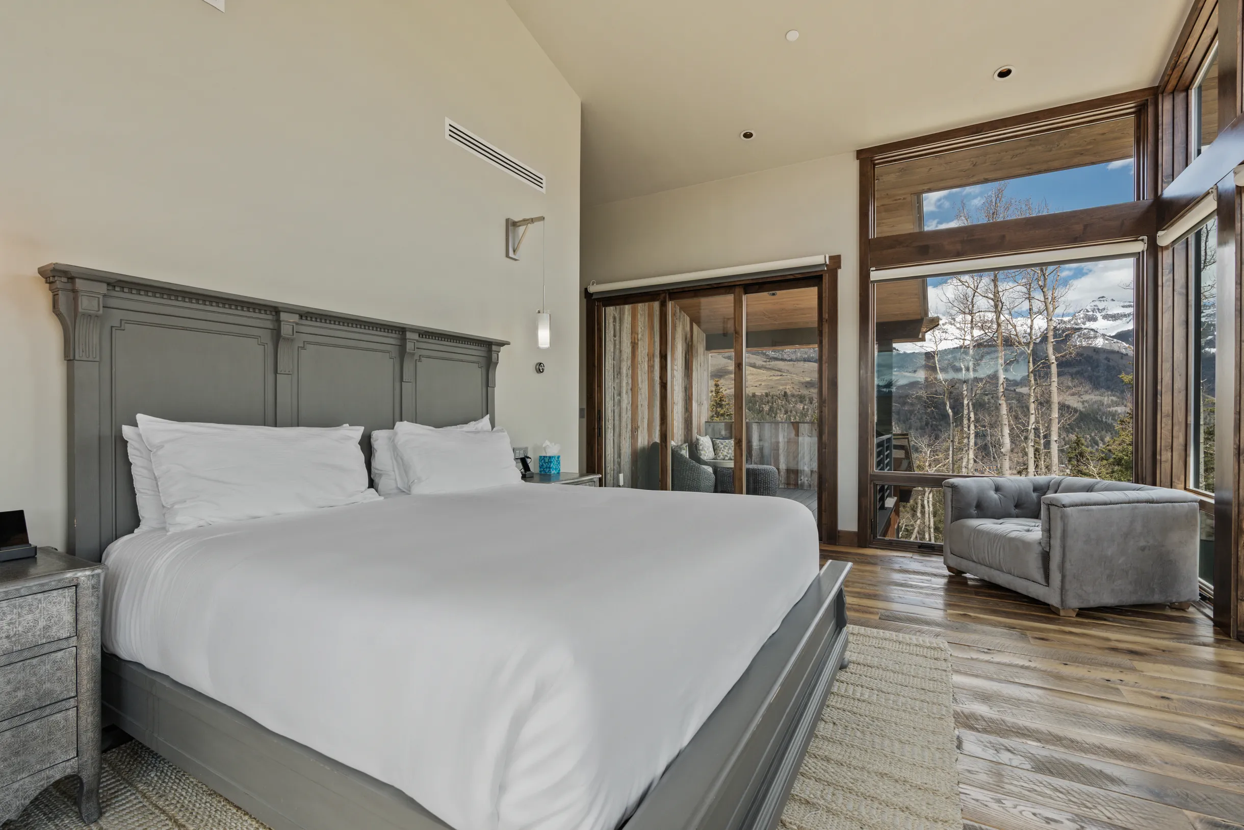 Wander Telluride Ridge #31