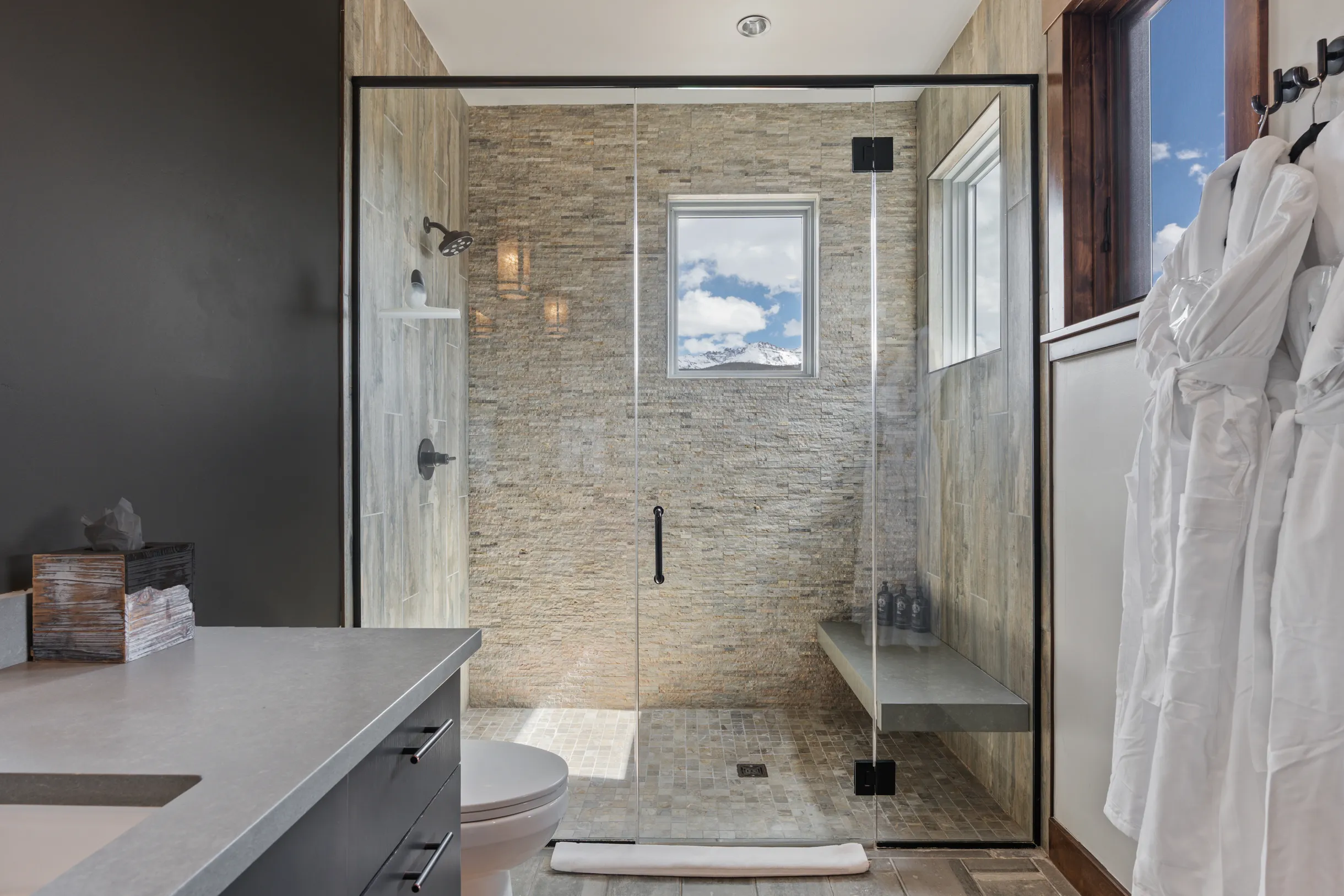 Wander Telluride Ridge #62