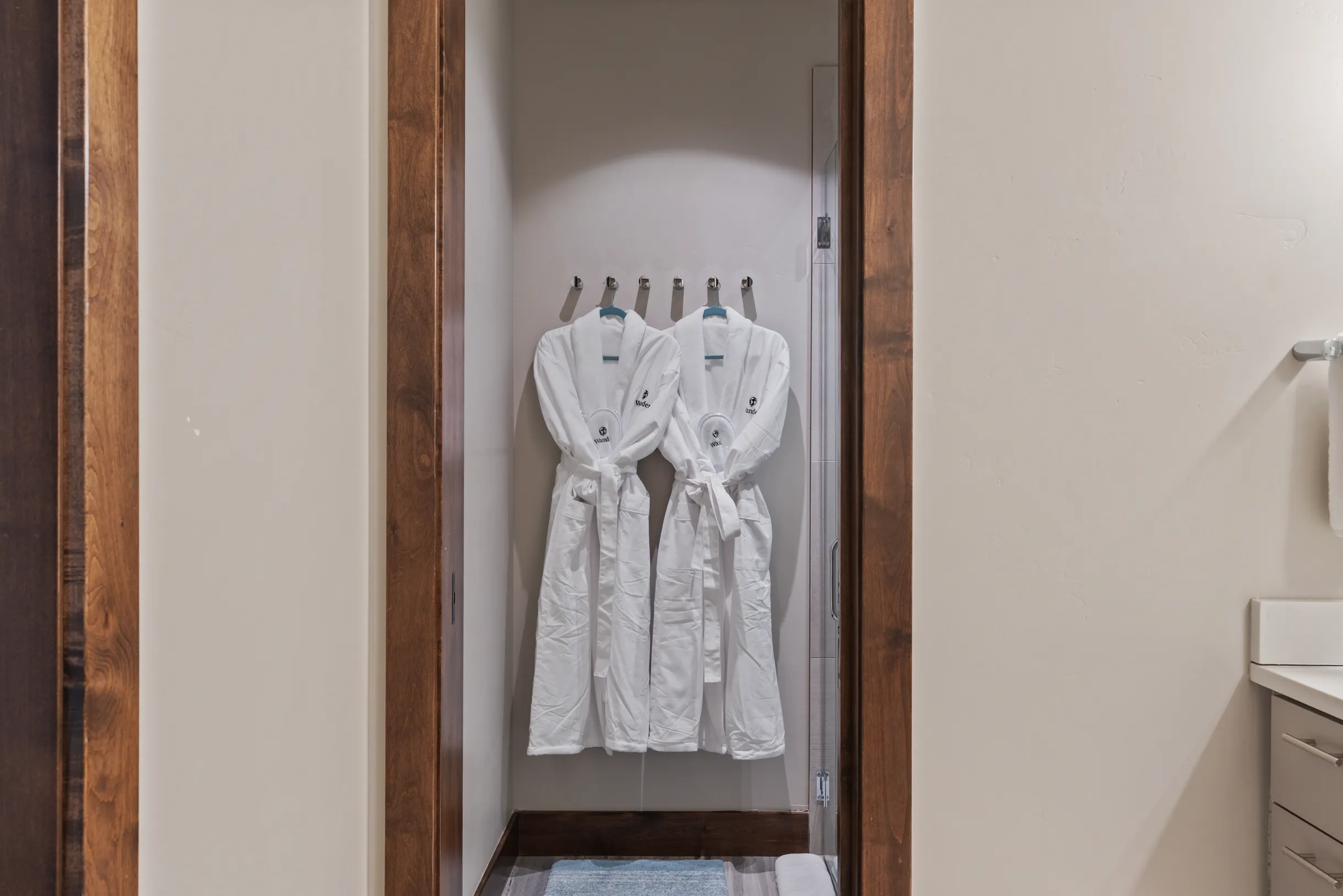 Wander Telluride Ridge #69