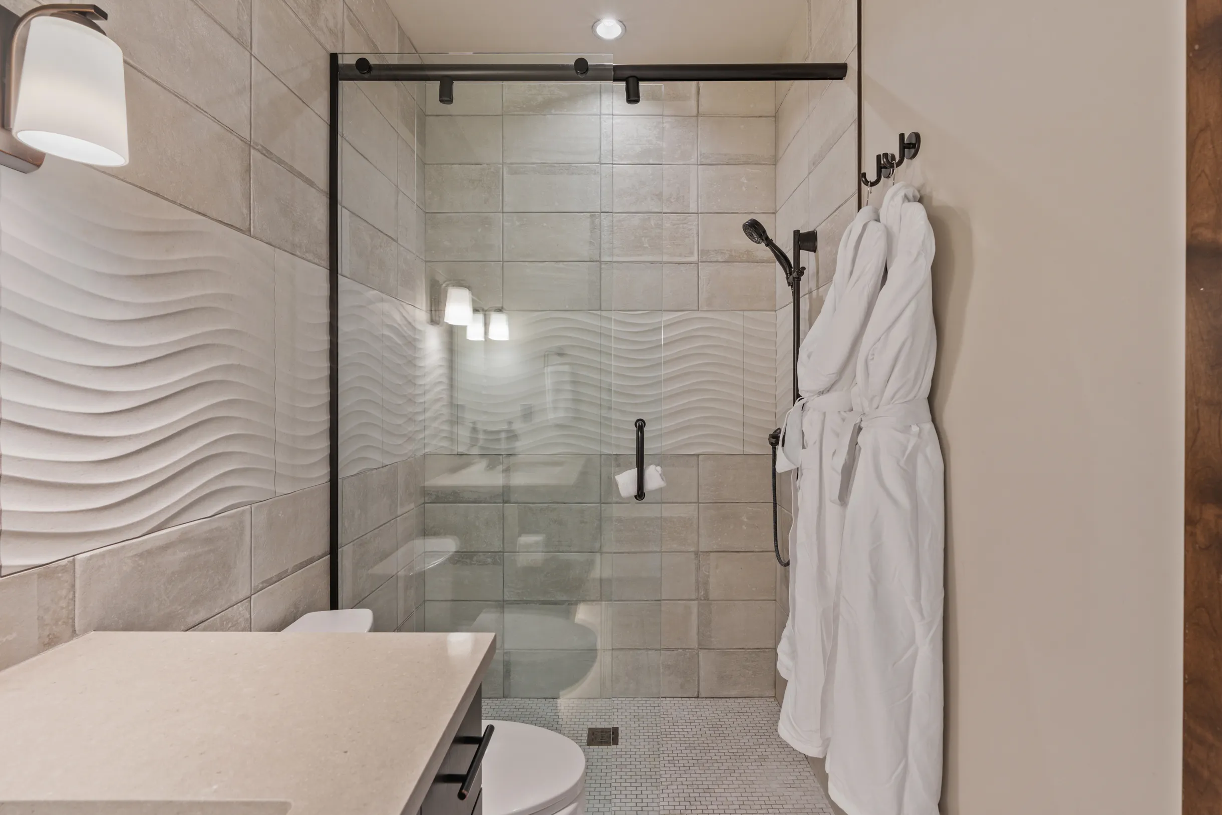 Wander Telluride Ridge #47